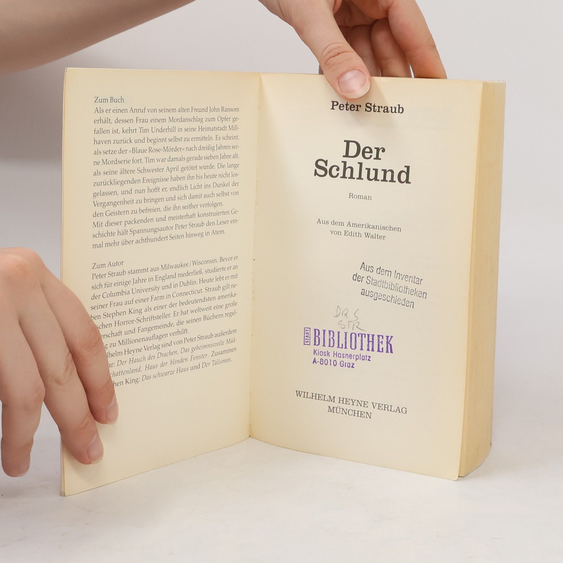 Peter Straub Der Schlund. Roman