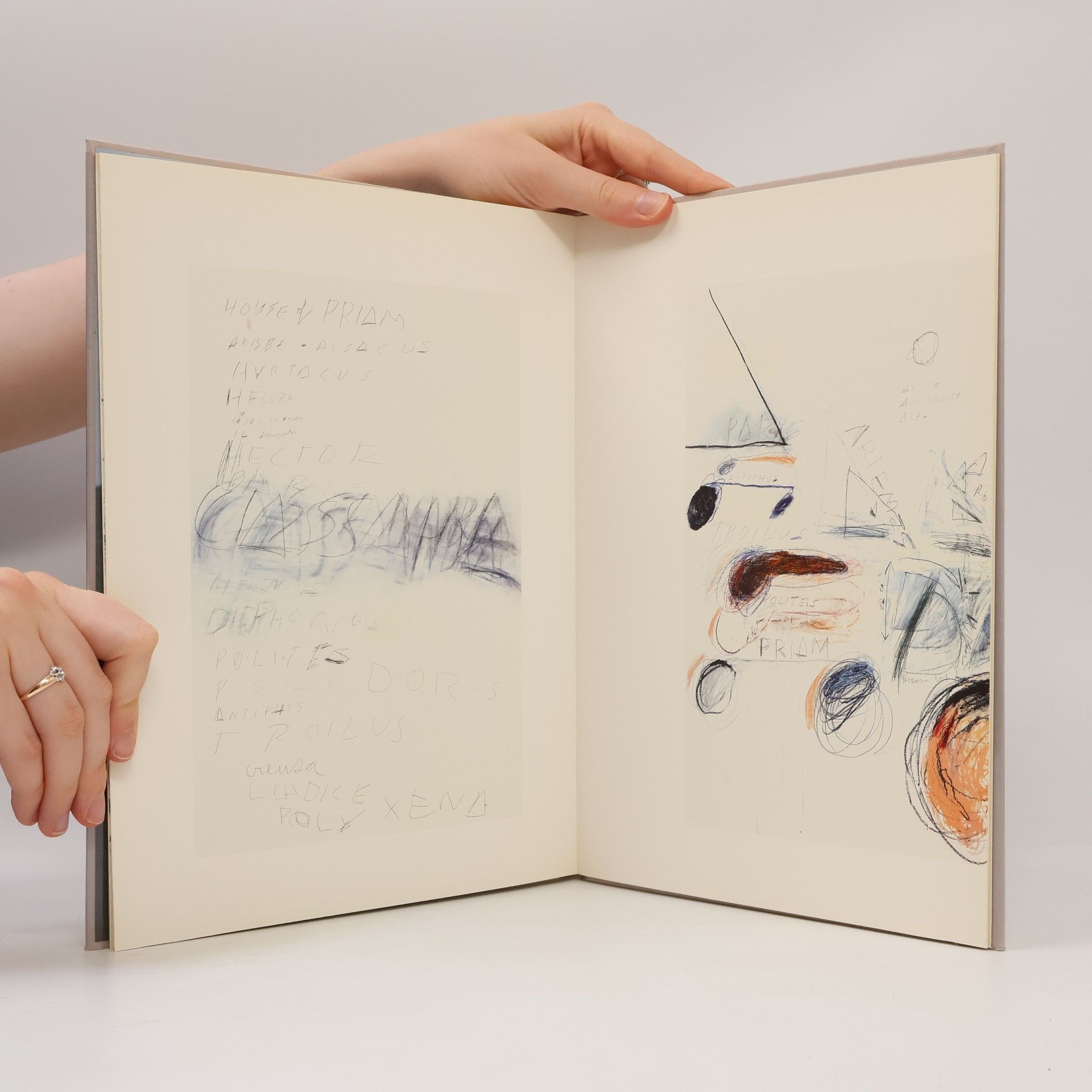 Cy Twombly Fifty days at Iliam
