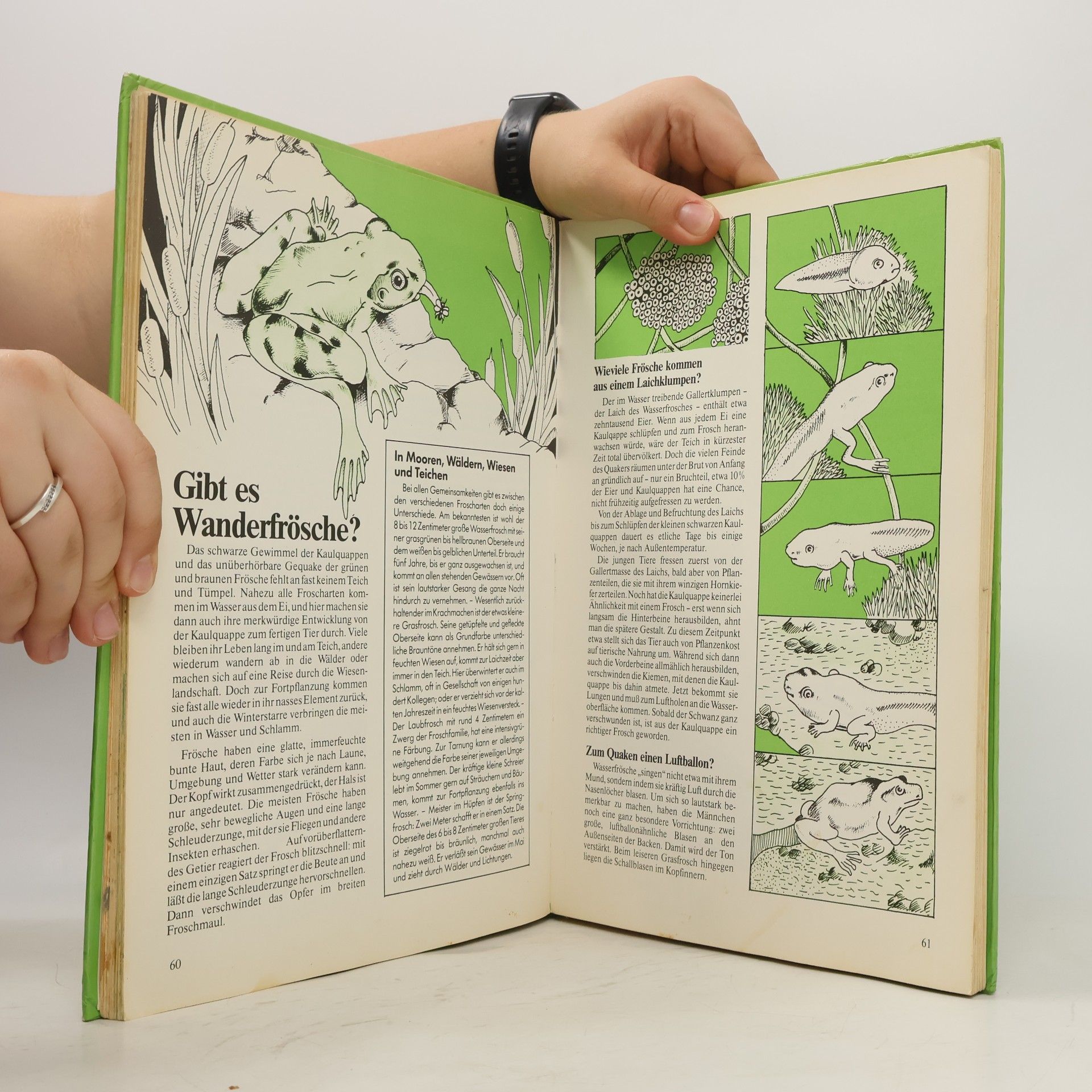 Various authors Kleine Wunder der Natur