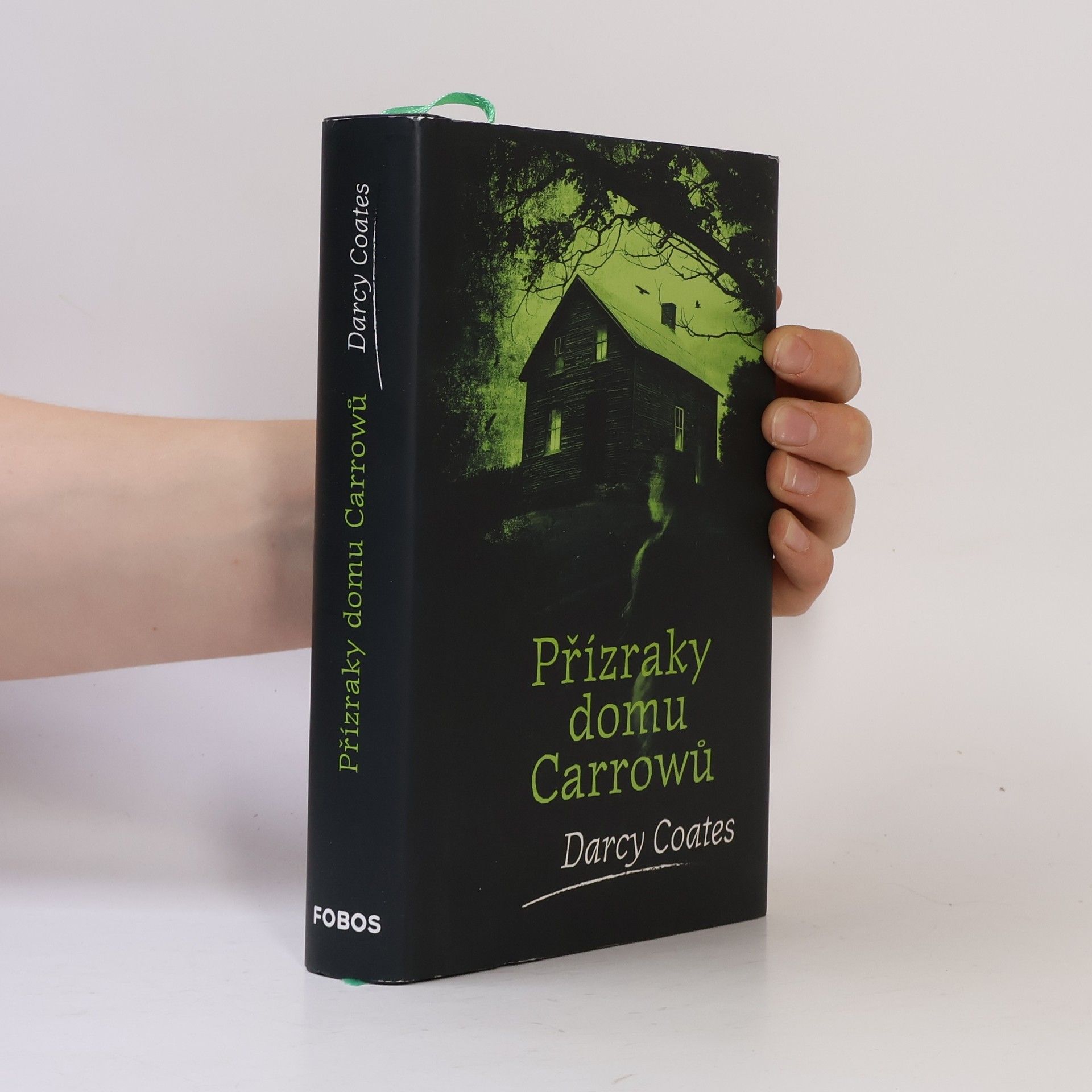 Darcy Coates Přízraky domu Carrowů