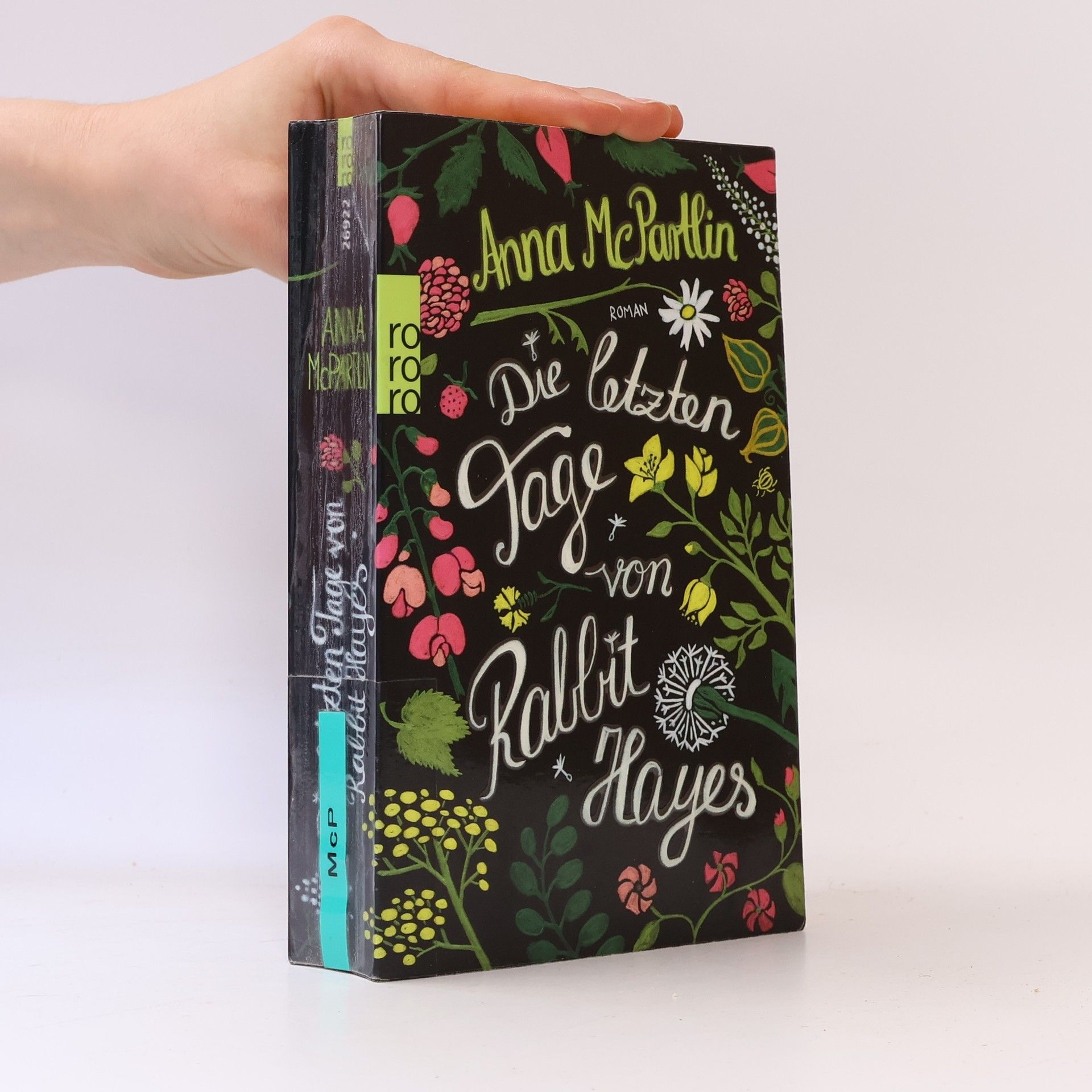 Anna McPartlin Die letzten Tage von Rabbit Hayes