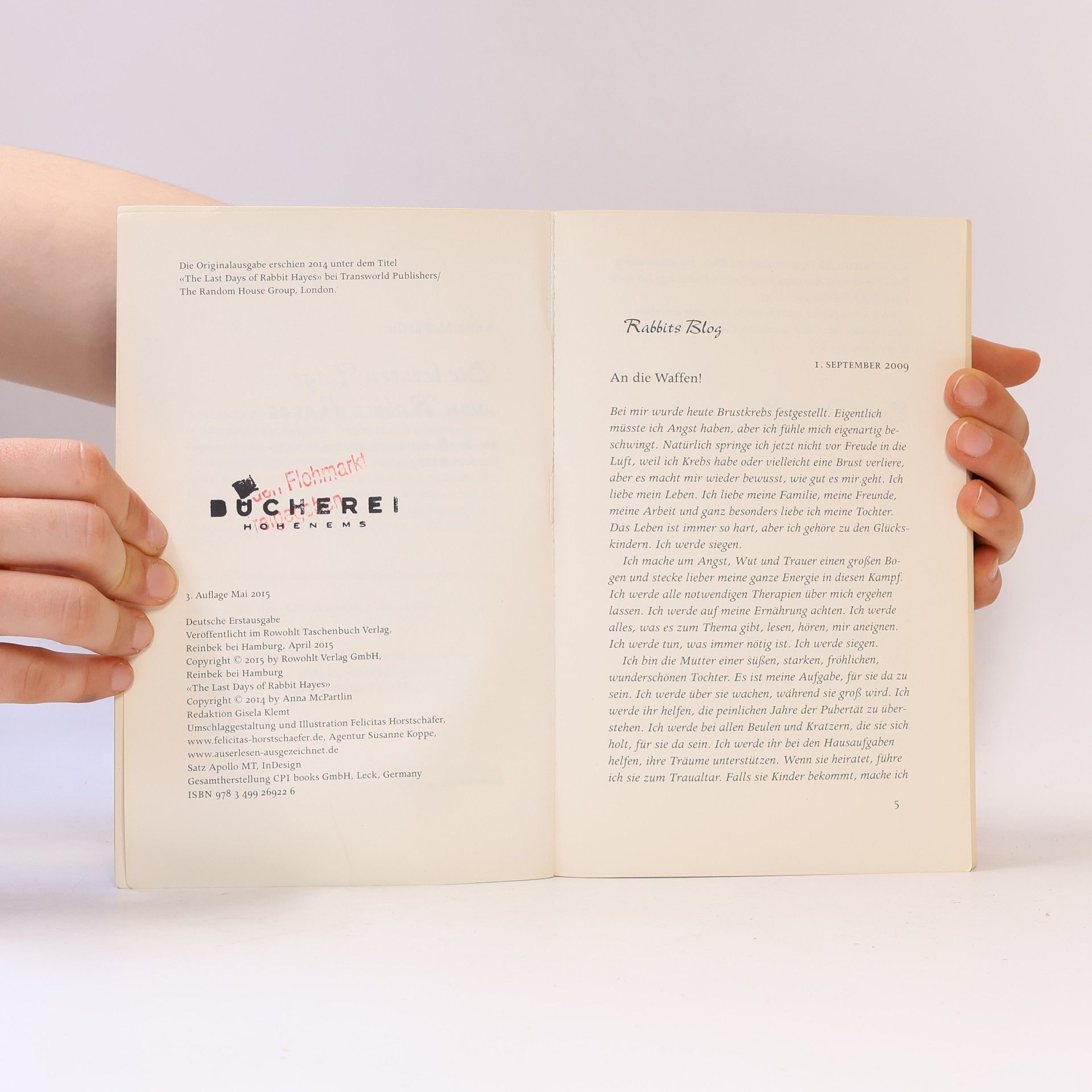 Anna McPartlin Die letzten Tage von Rabbit Hayes