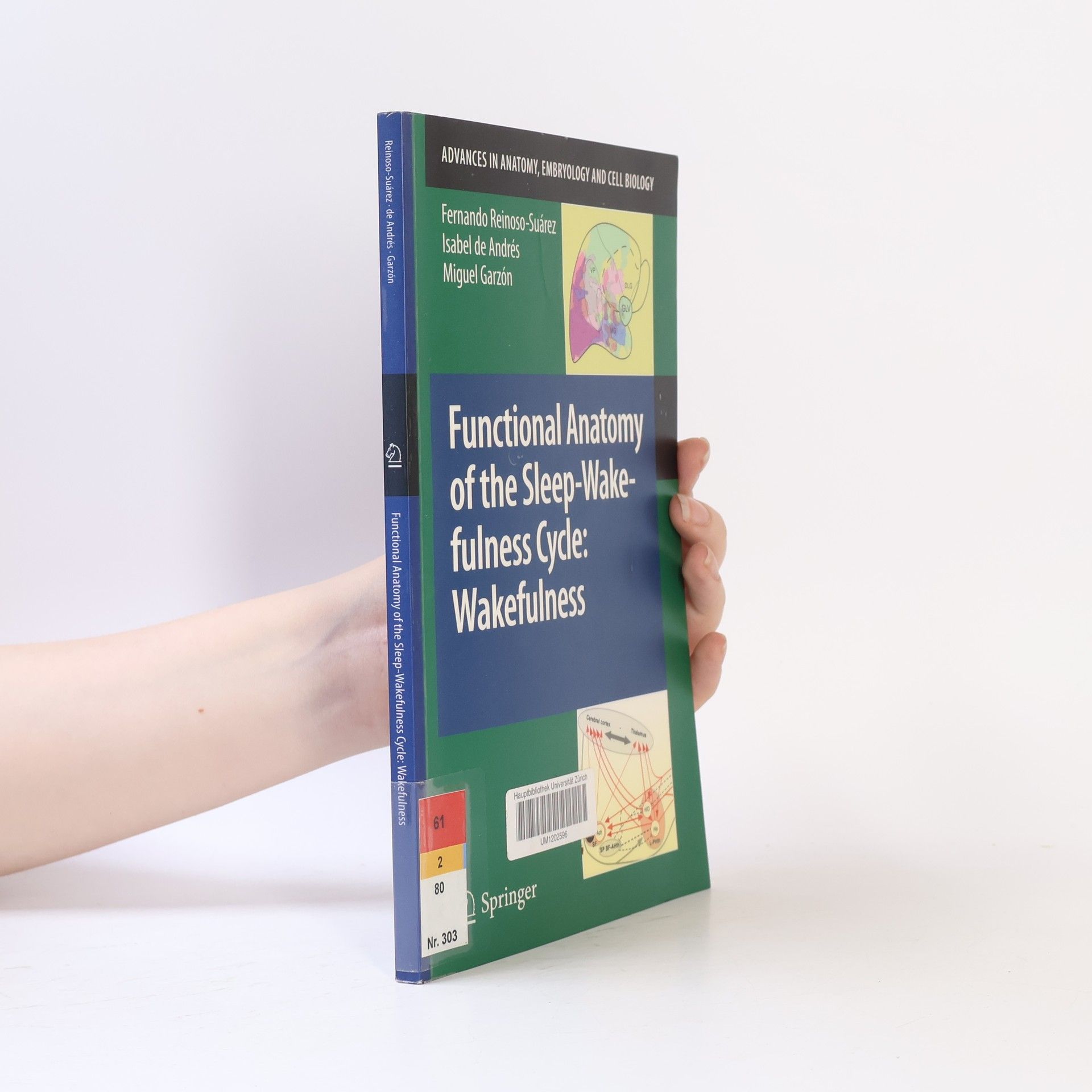 Isabel de Andrés Advances in Anatomy, Embryology and Cell Biology - 303: Functional Anatomy of the Sleep-Wakefulness Cycle: Wakefulness