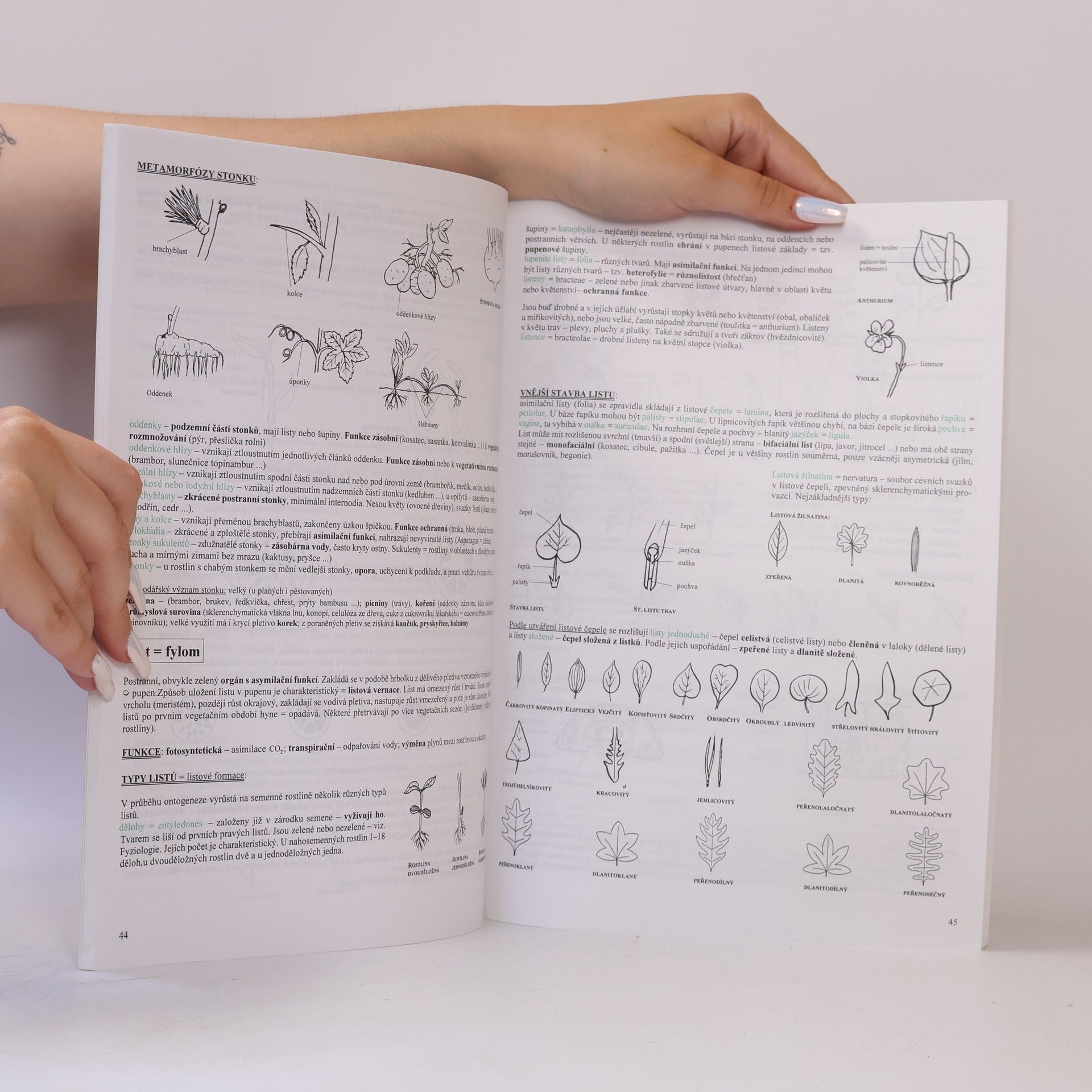 Hana Hančová Biologie v kostce. 1. díl