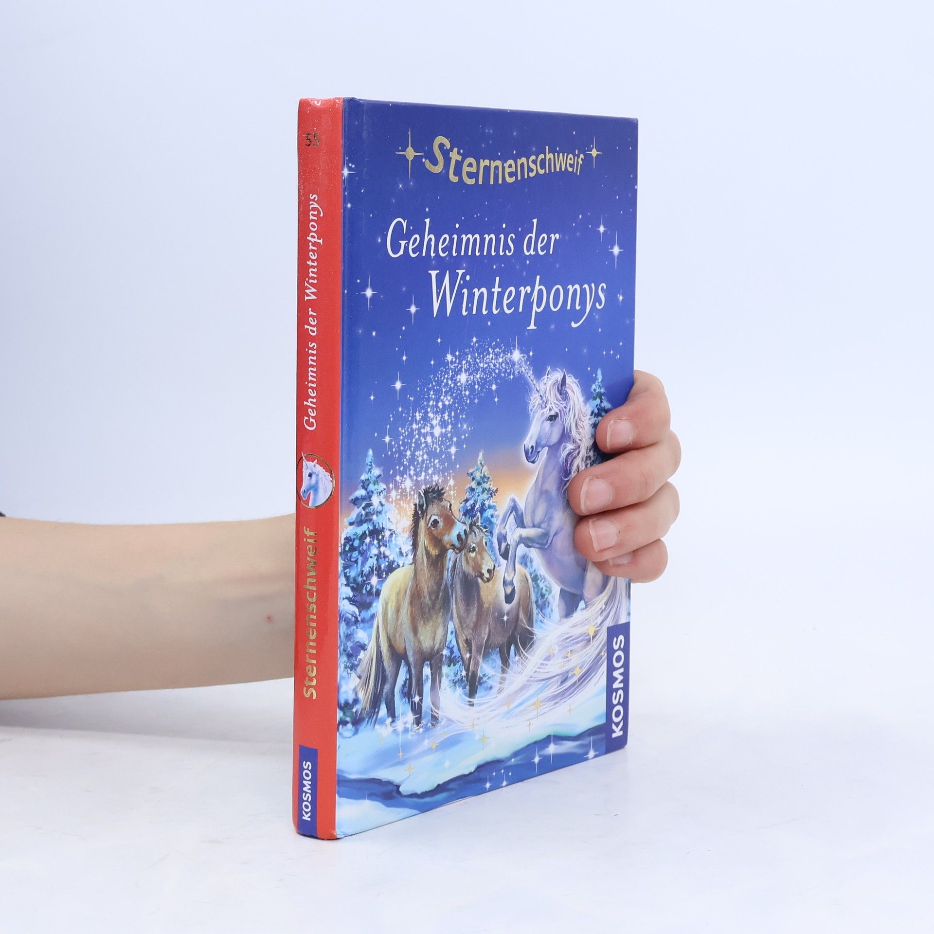 Linda Champan Sternenschweif. Geheimnis der Winterponys