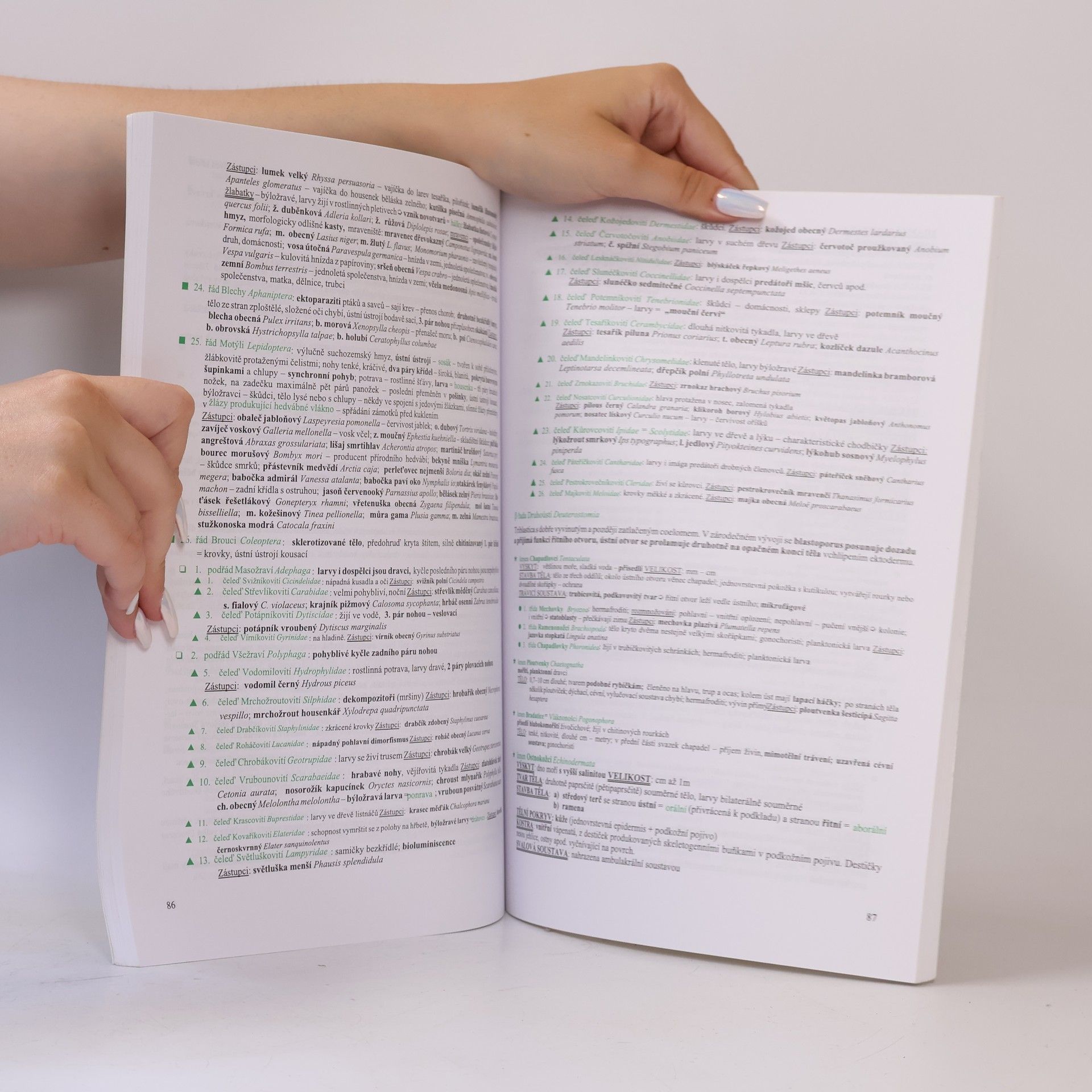 Hana Hančová Biologie v kostce. 2. díl