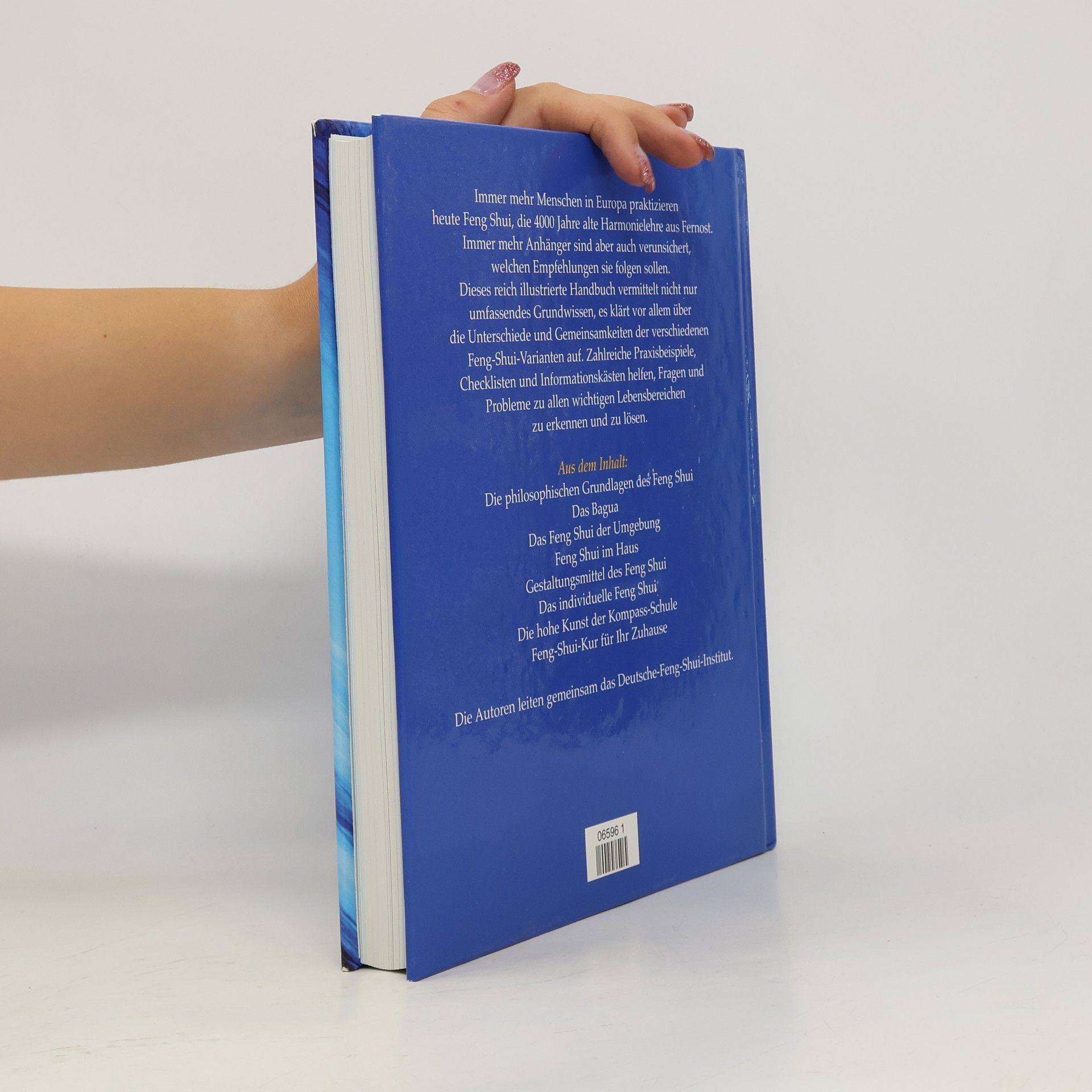 Thomas Fröhling Das grosse Feng-Shui Buch