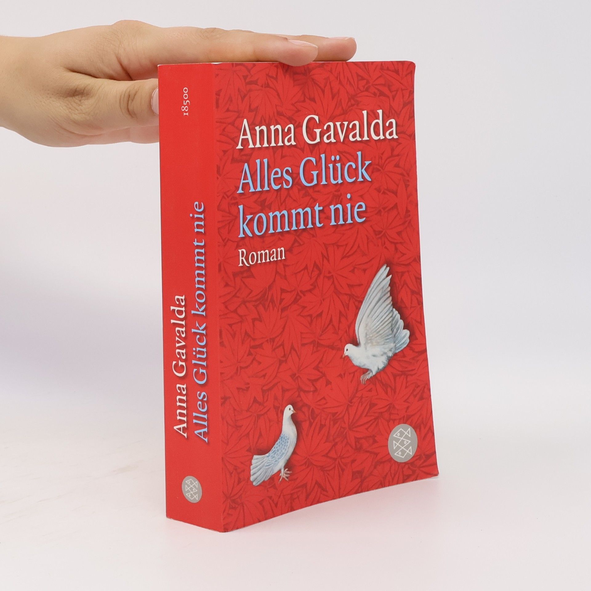 Anna Gavalda Alles Glück kommt nie