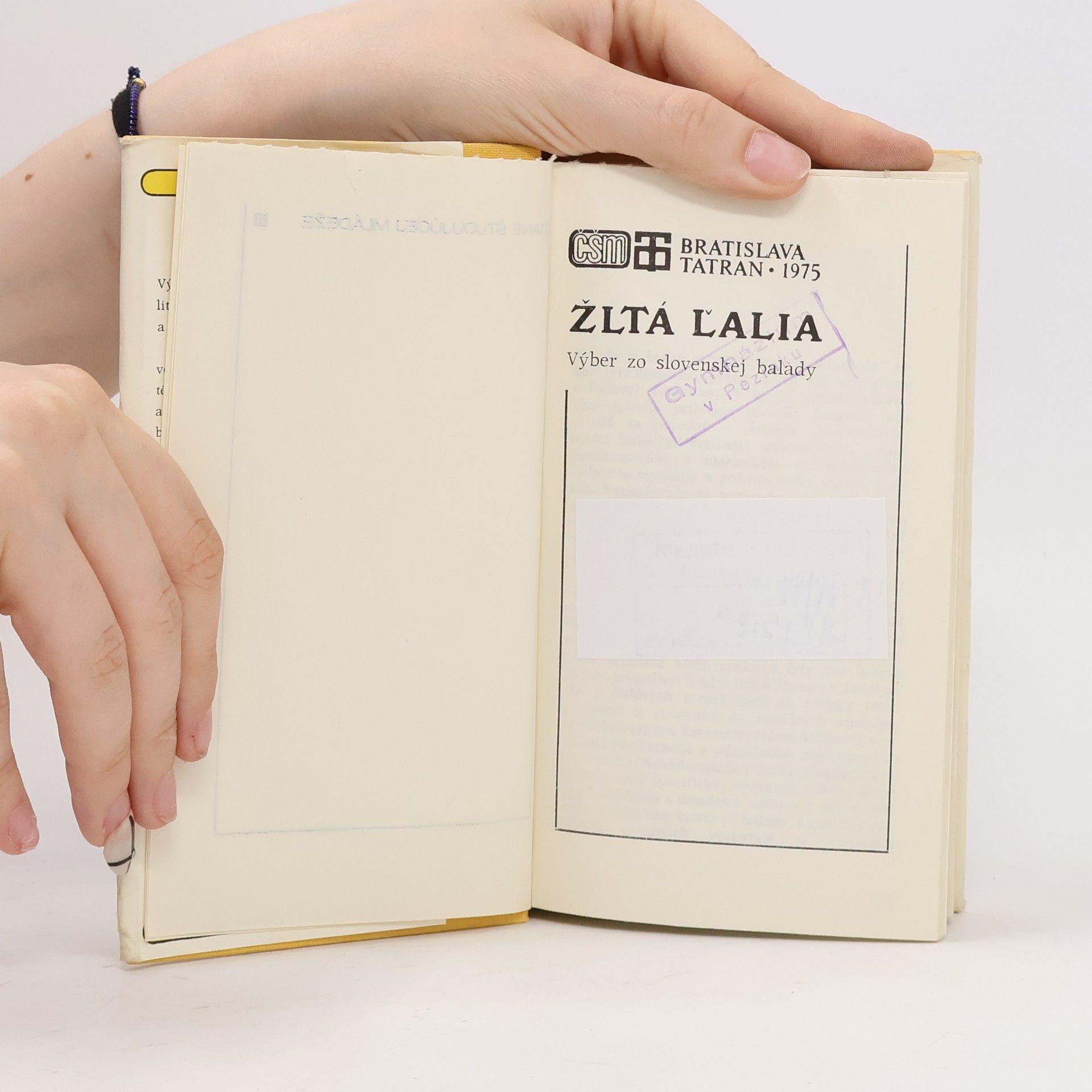 Jozef Hvišč Žltá ľalia