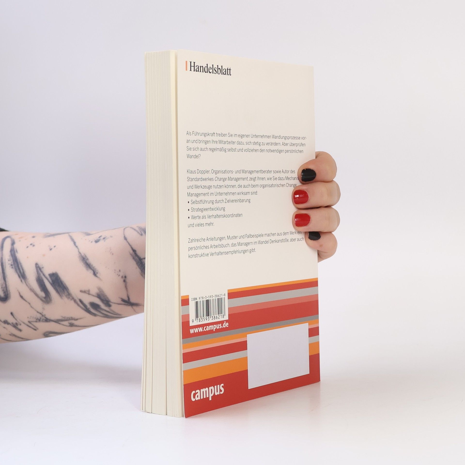 Klaus Doppler Handelsblatt - 3: Der Change Manager