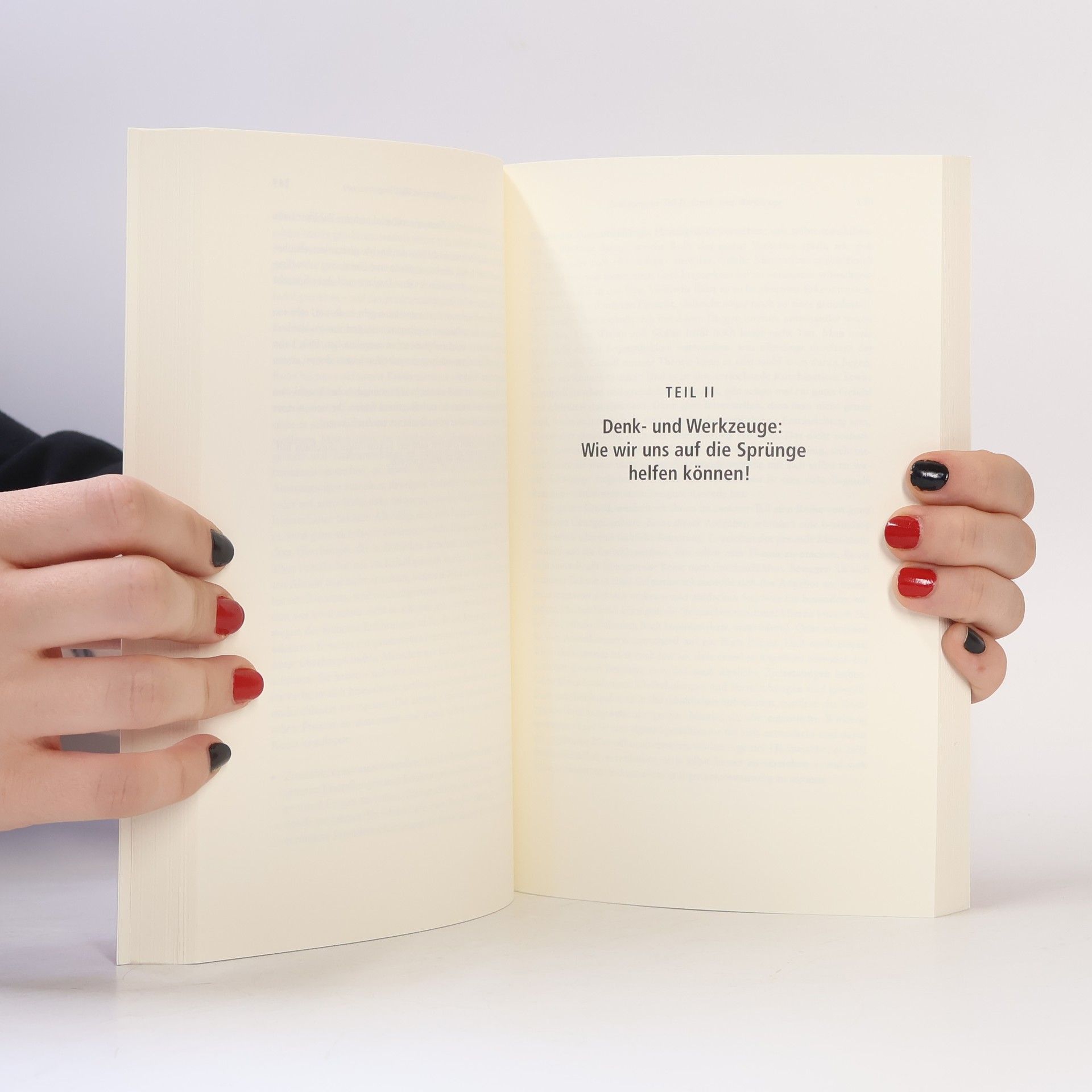 Klaus Doppler Handelsblatt - 3: Der Change Manager