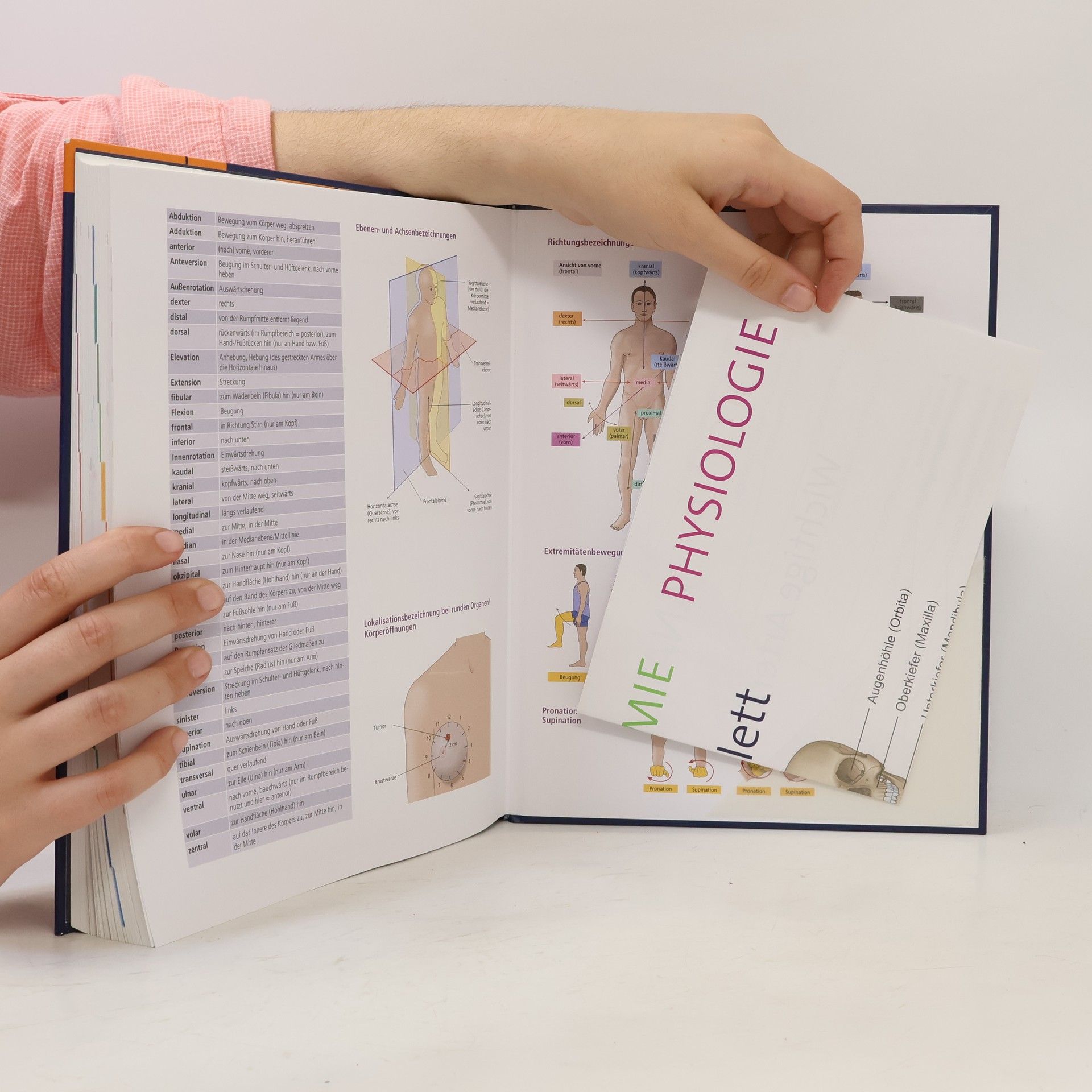 Nicole Menche Biologie, Anatomie, Physiologie