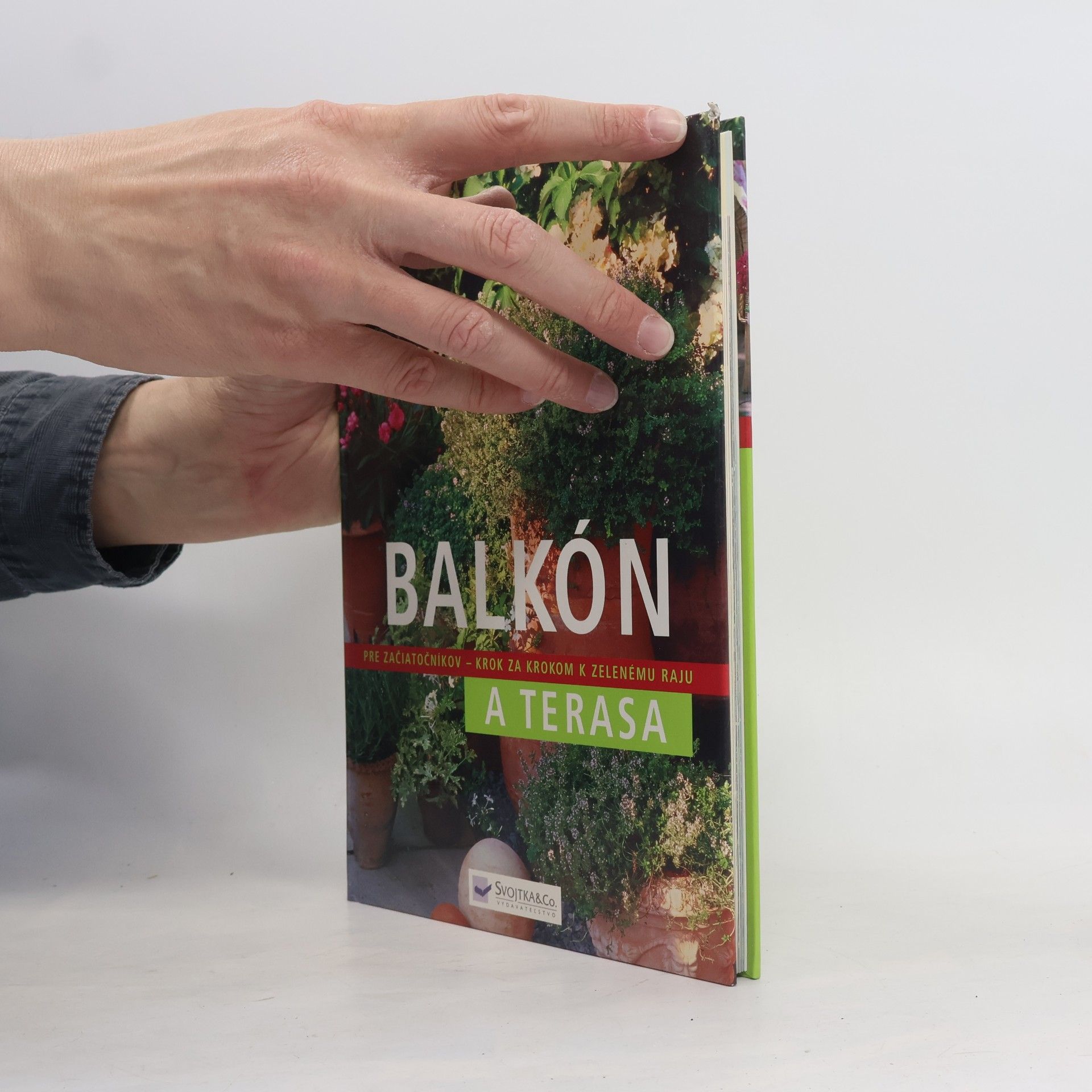 Joachim Mayer Balkón pre začiatečníkov