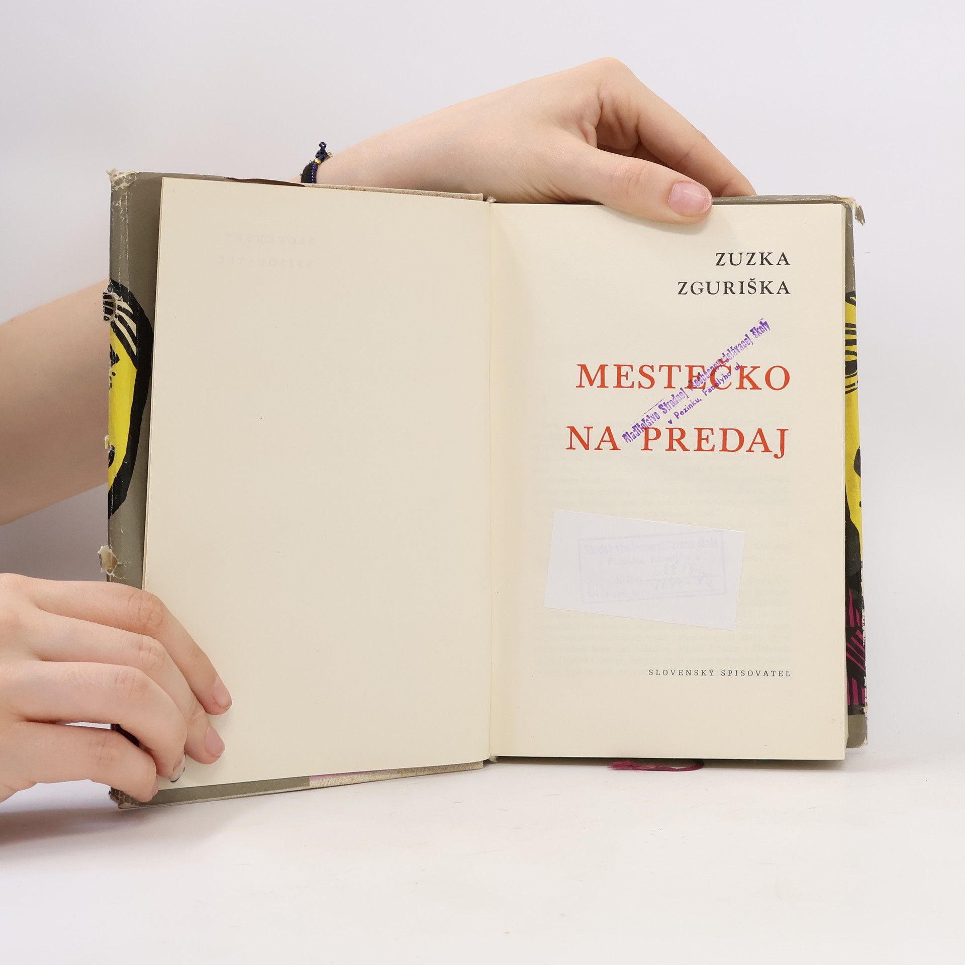 Zuzka Zguriška Mestečko na predaj