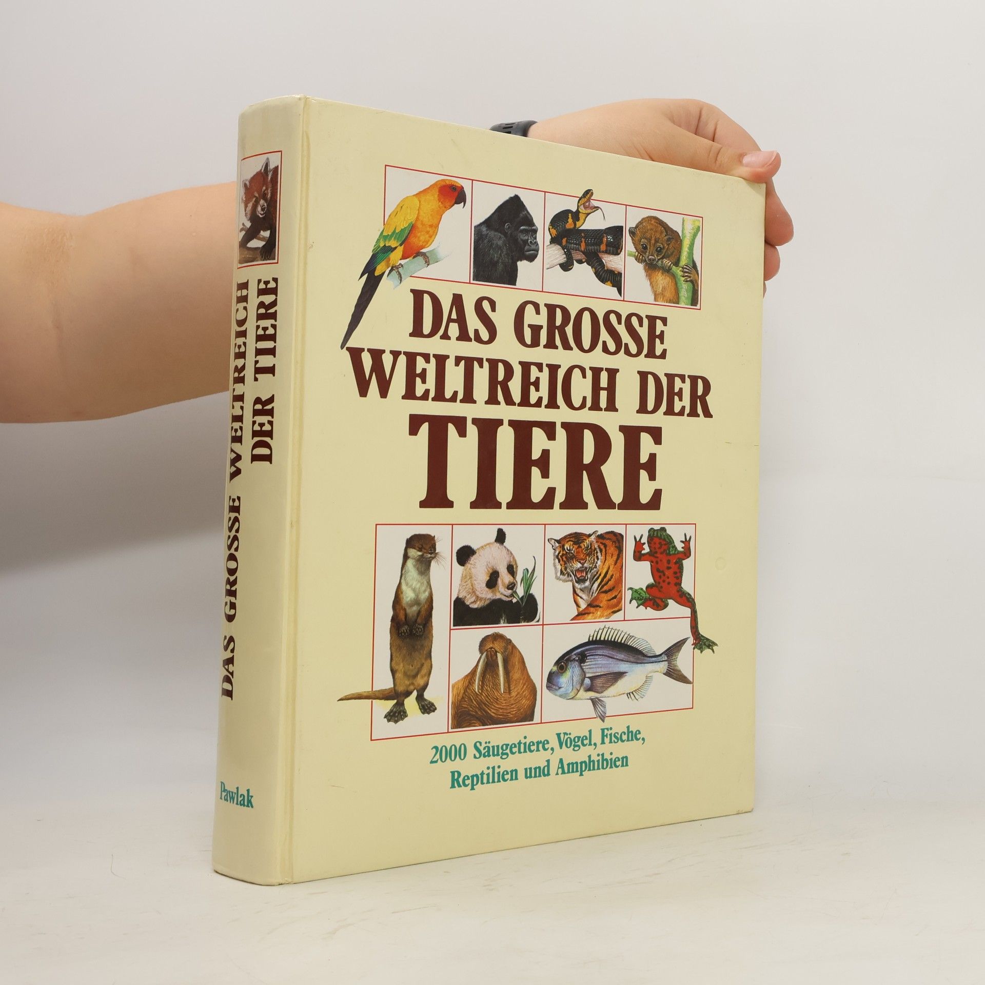 Philip Whitfield Das grosse Weltreich der Tiere