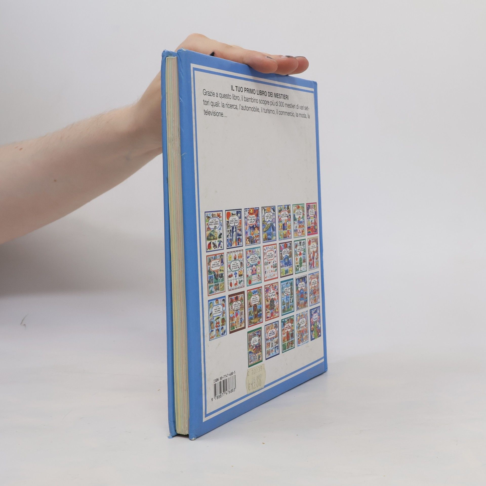 Il tuo primo libro dei mestieri