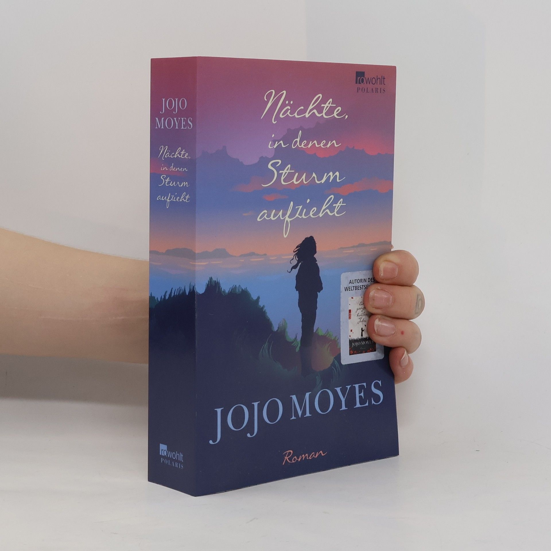 Jojo Moyesová Nächte in denen Sturm aufzieht