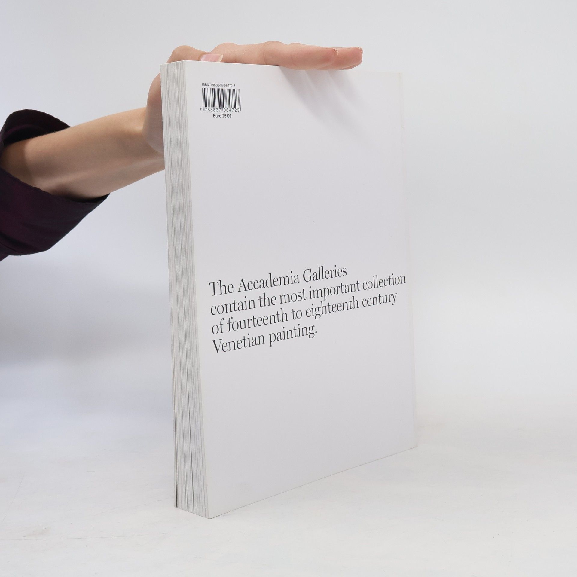 Autorenkollektiv The Accademia Galleries in Venice. General catalogue