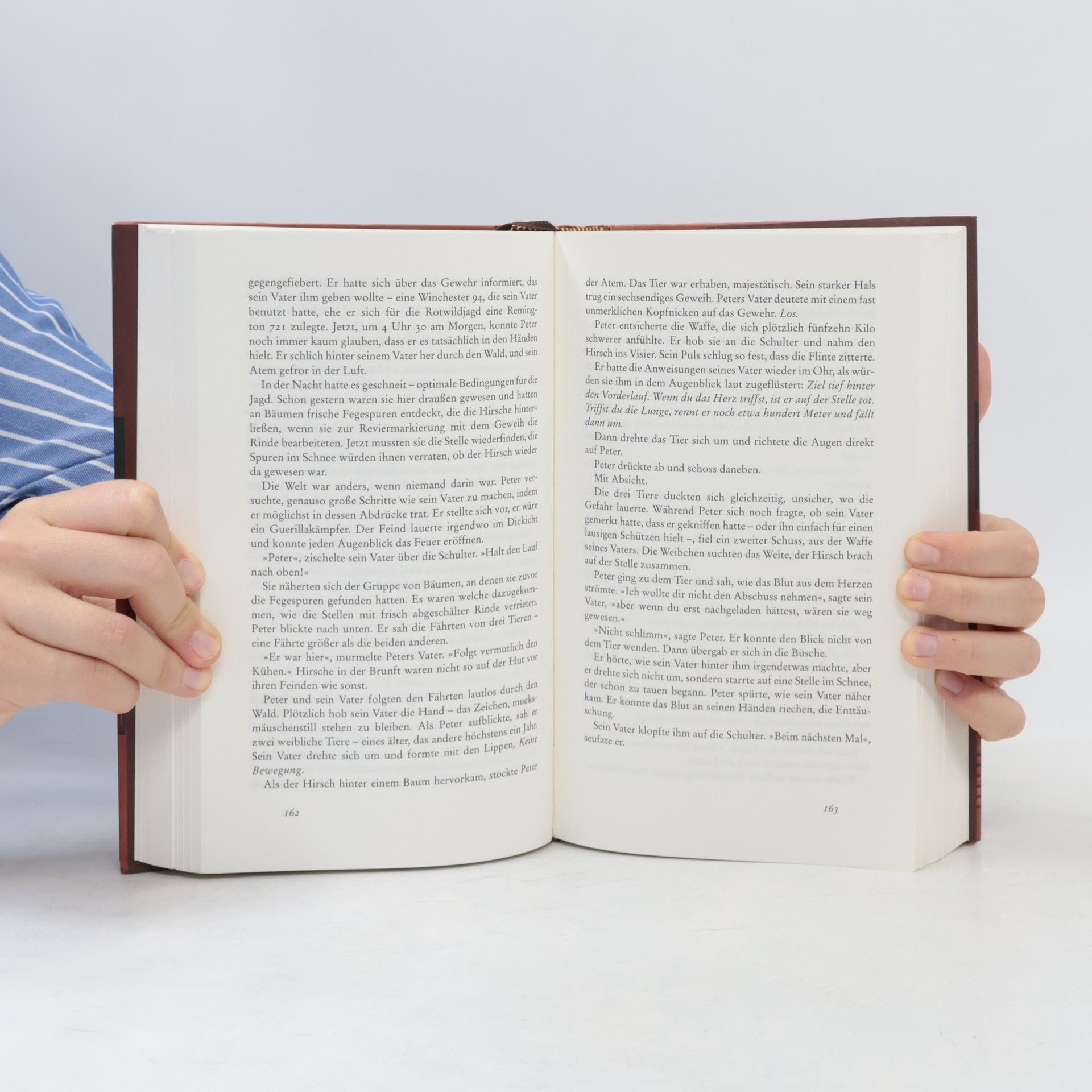 Jodi Picoult Neunzehn Minuten