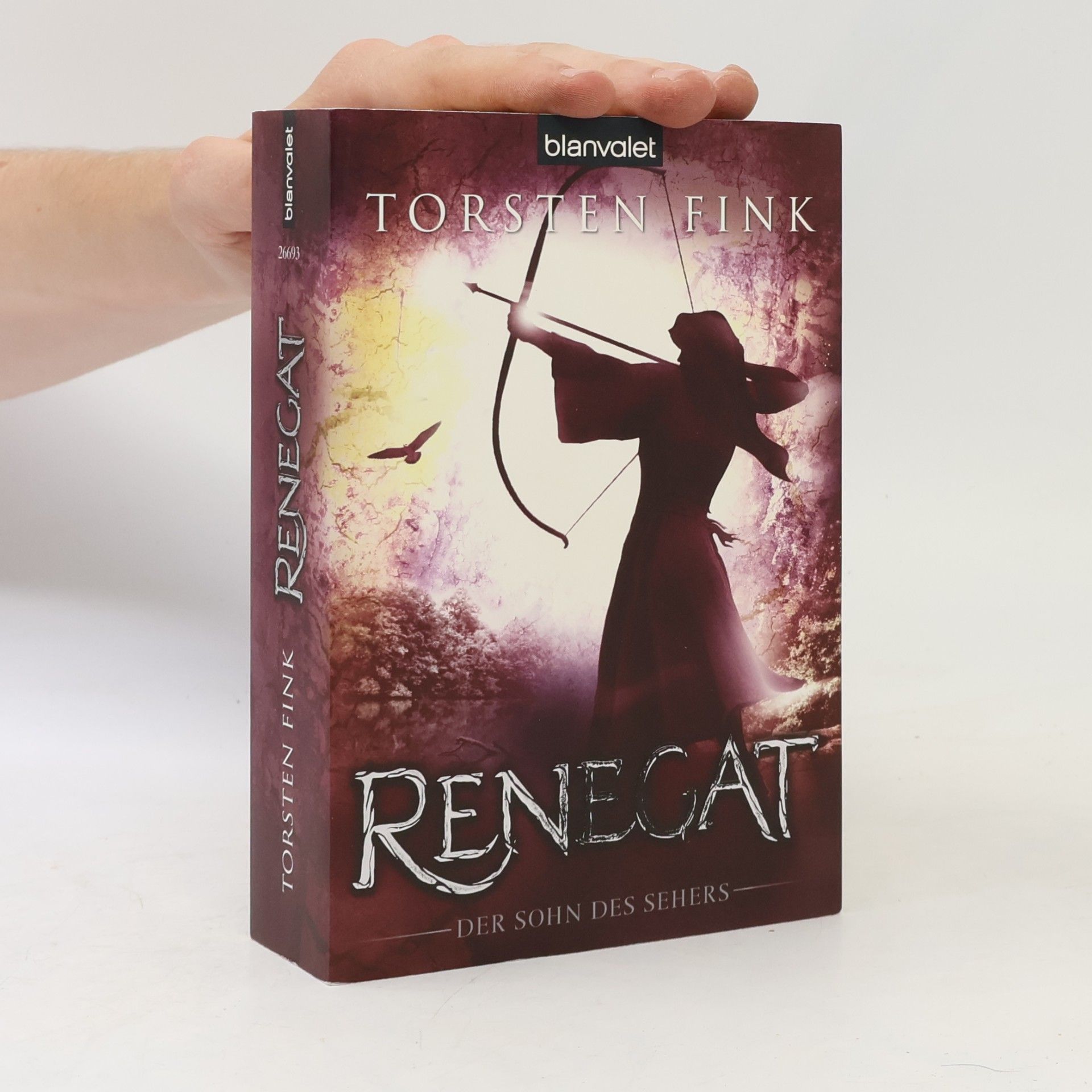 Torsten Fink Renegat. Der Sohn des Sehers
