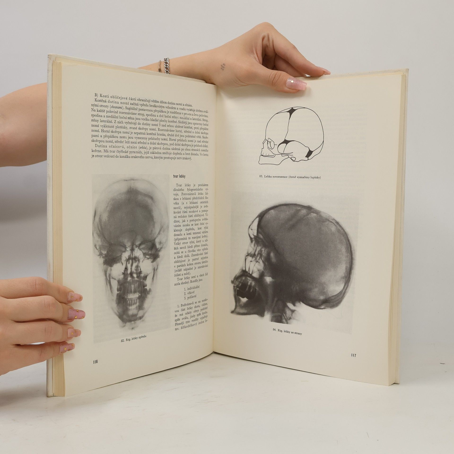 Rudolf Linc Anatomie člověka I