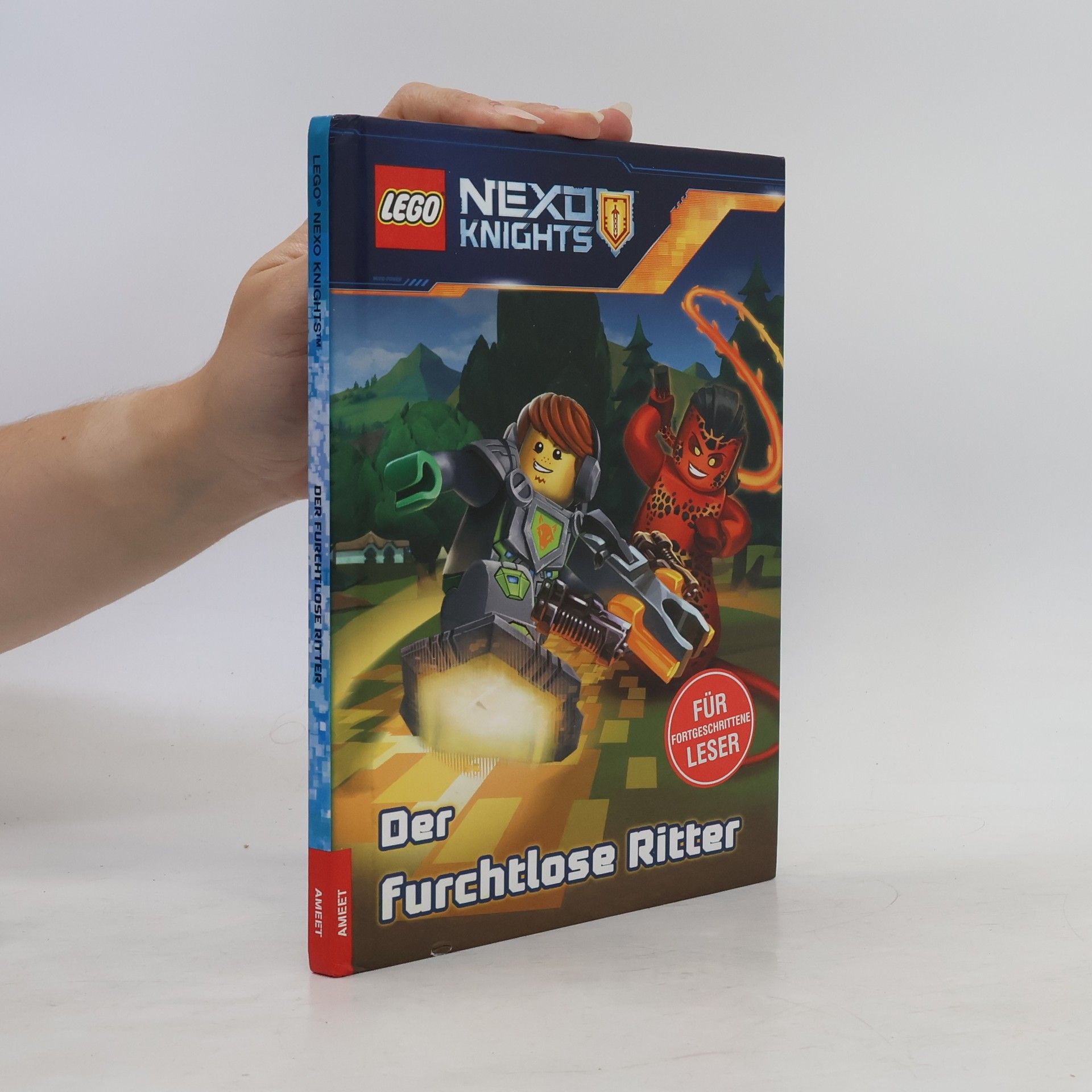 Kate Howard Der furchtlose Ritter