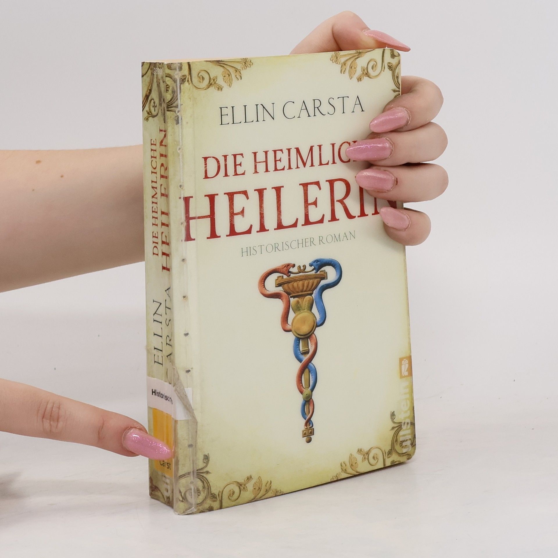 Ellin Carsta Die heimliche Heilerin