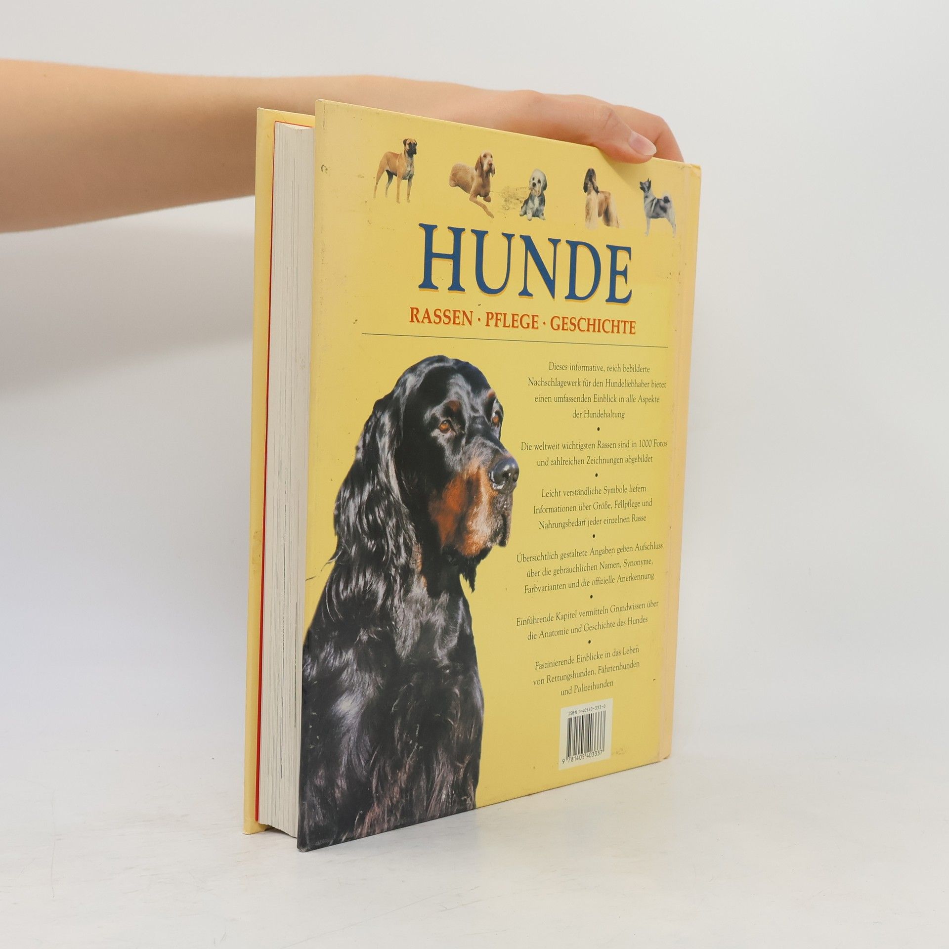 Autorenkollektiv Hunde