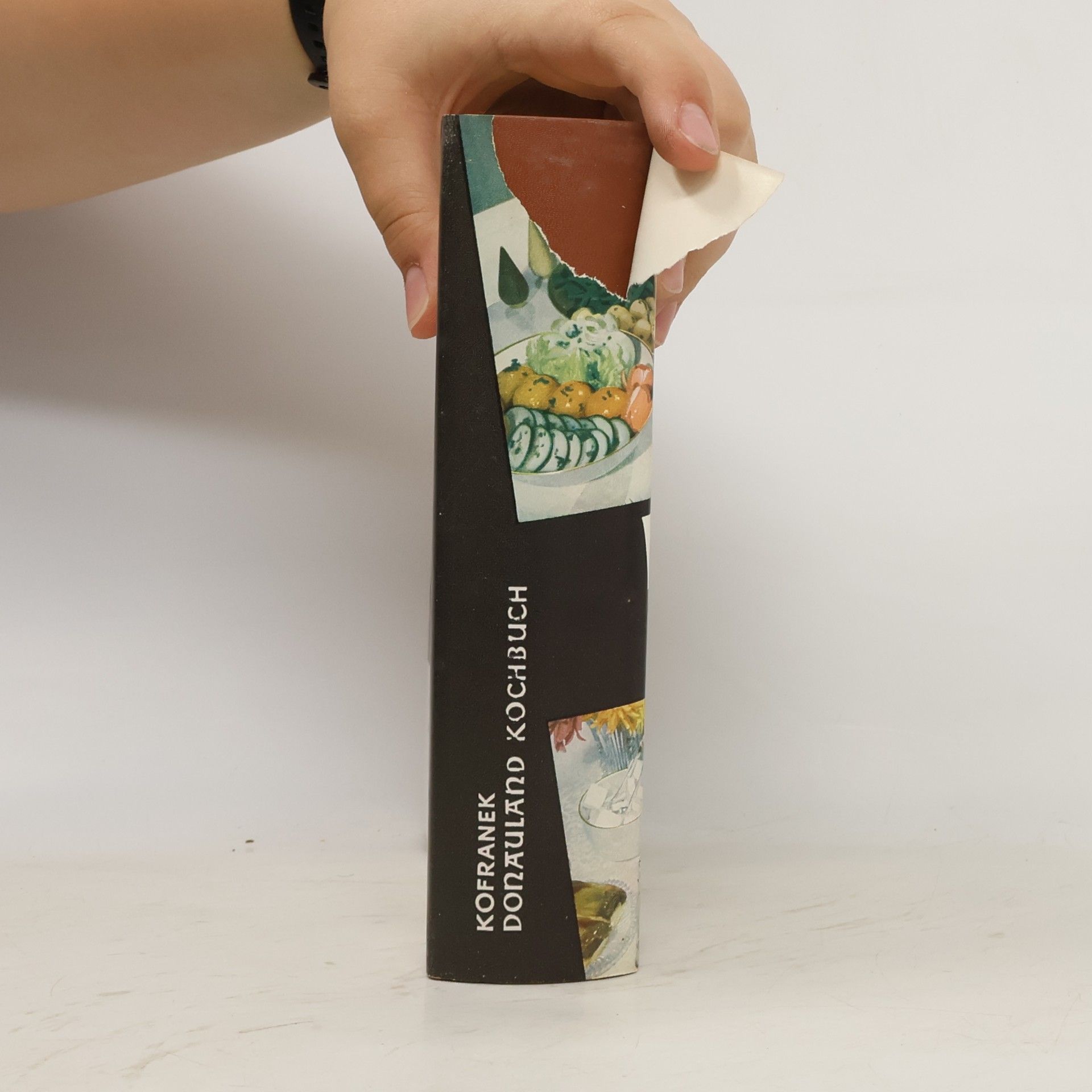 Albert Kofranek Donauland Kochbuch