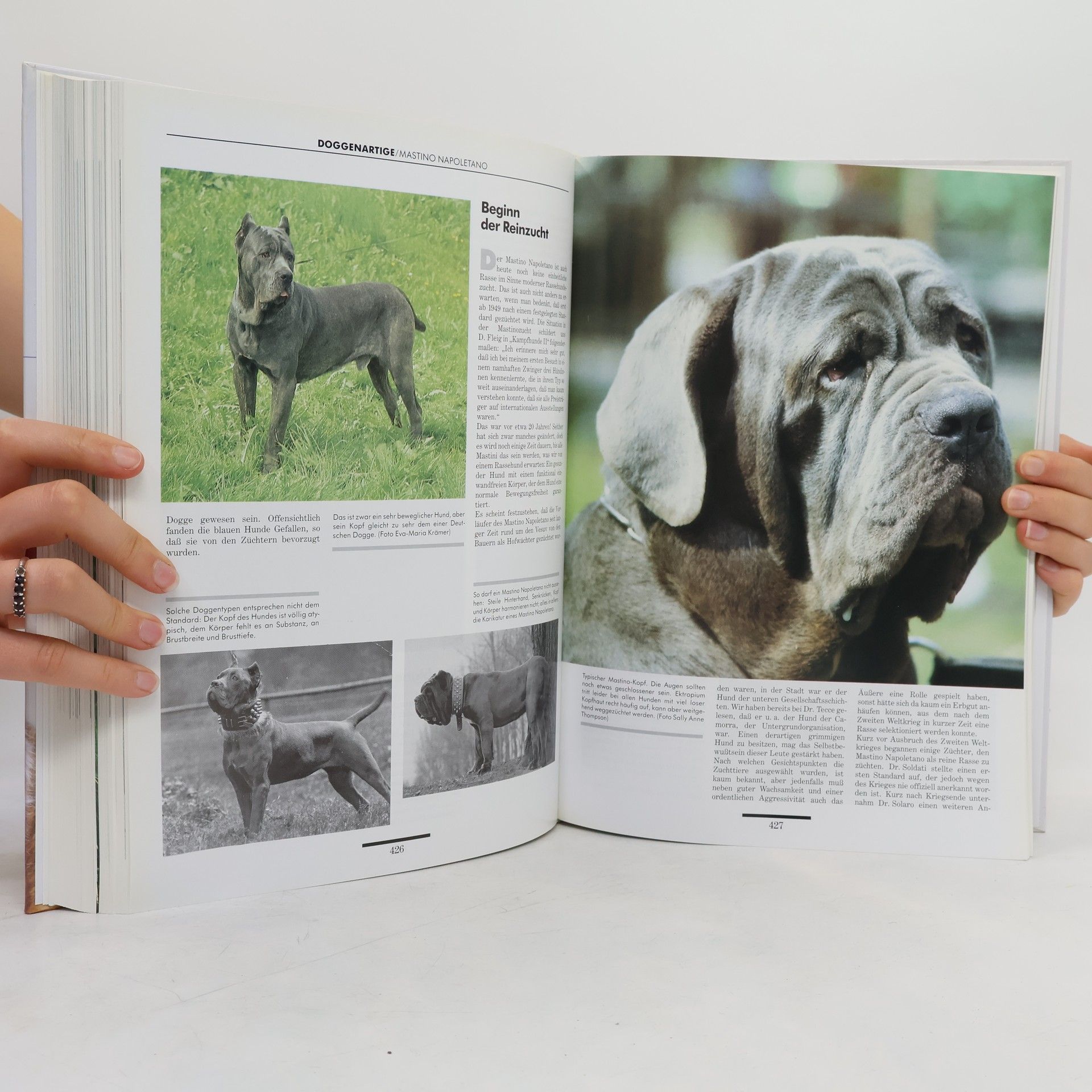 Hans Räber Enzyklopädie der Rassehunde