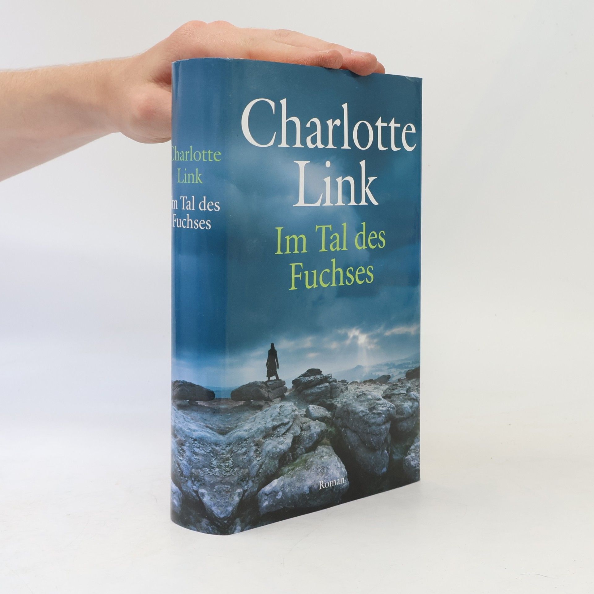 Charlotte Link Im Tal des Fuchses