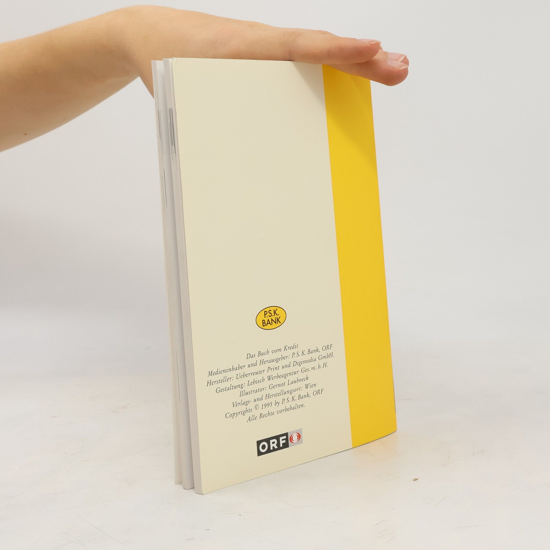 Renate Leithner Das Buch vom Kredit