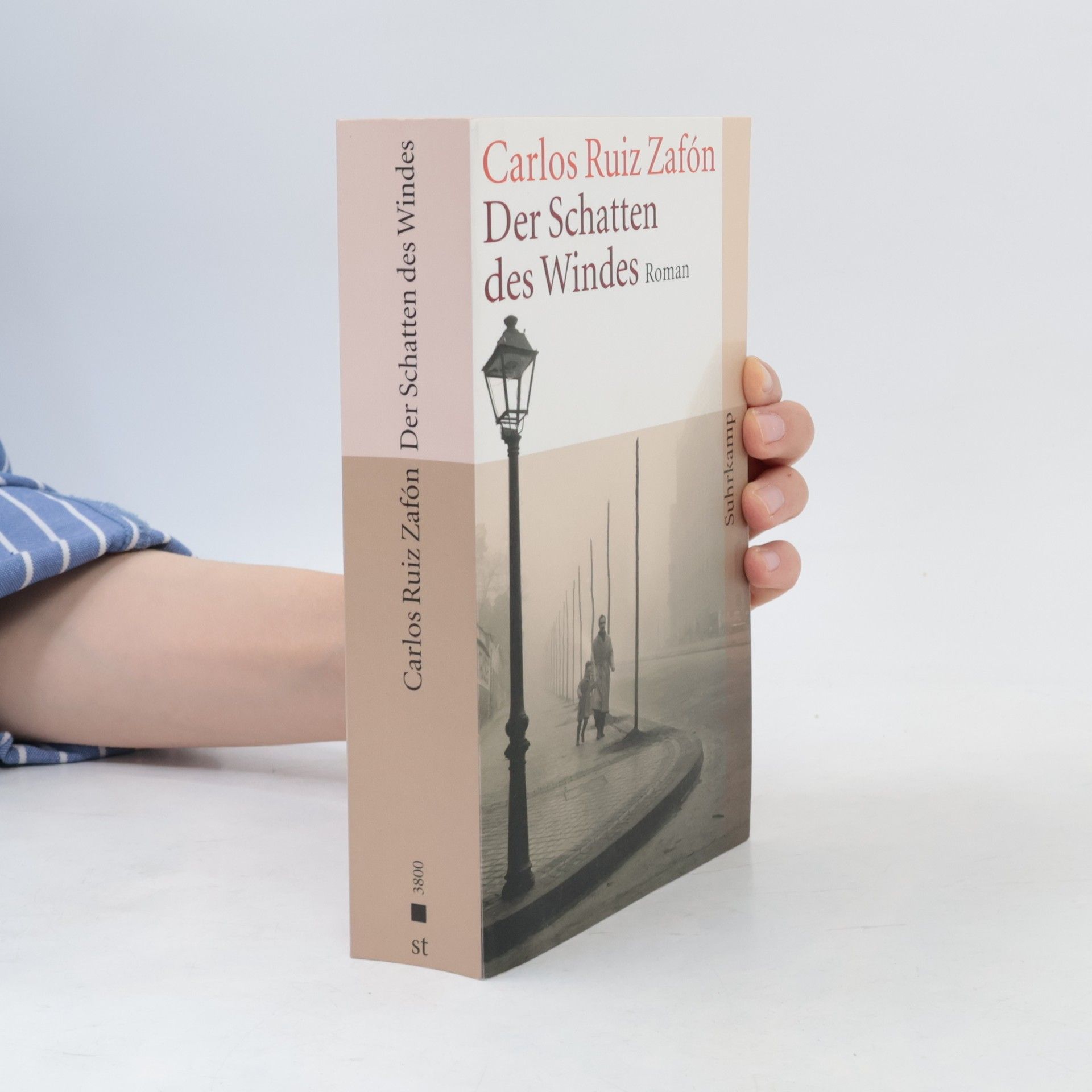 Carlos Ruiz Zafón Der Schatten des Windes