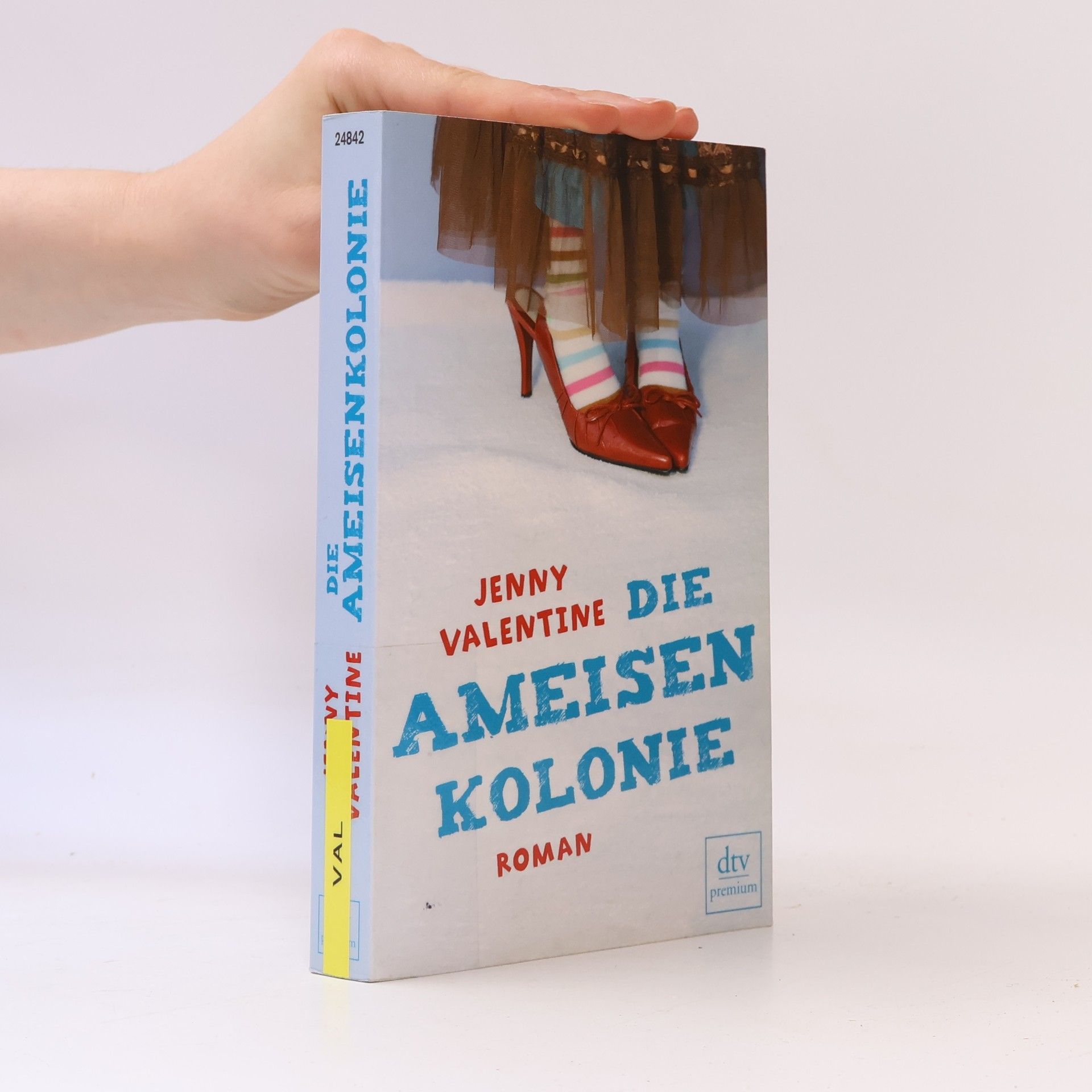 Jenny Valentine Die Ameisenkolonie