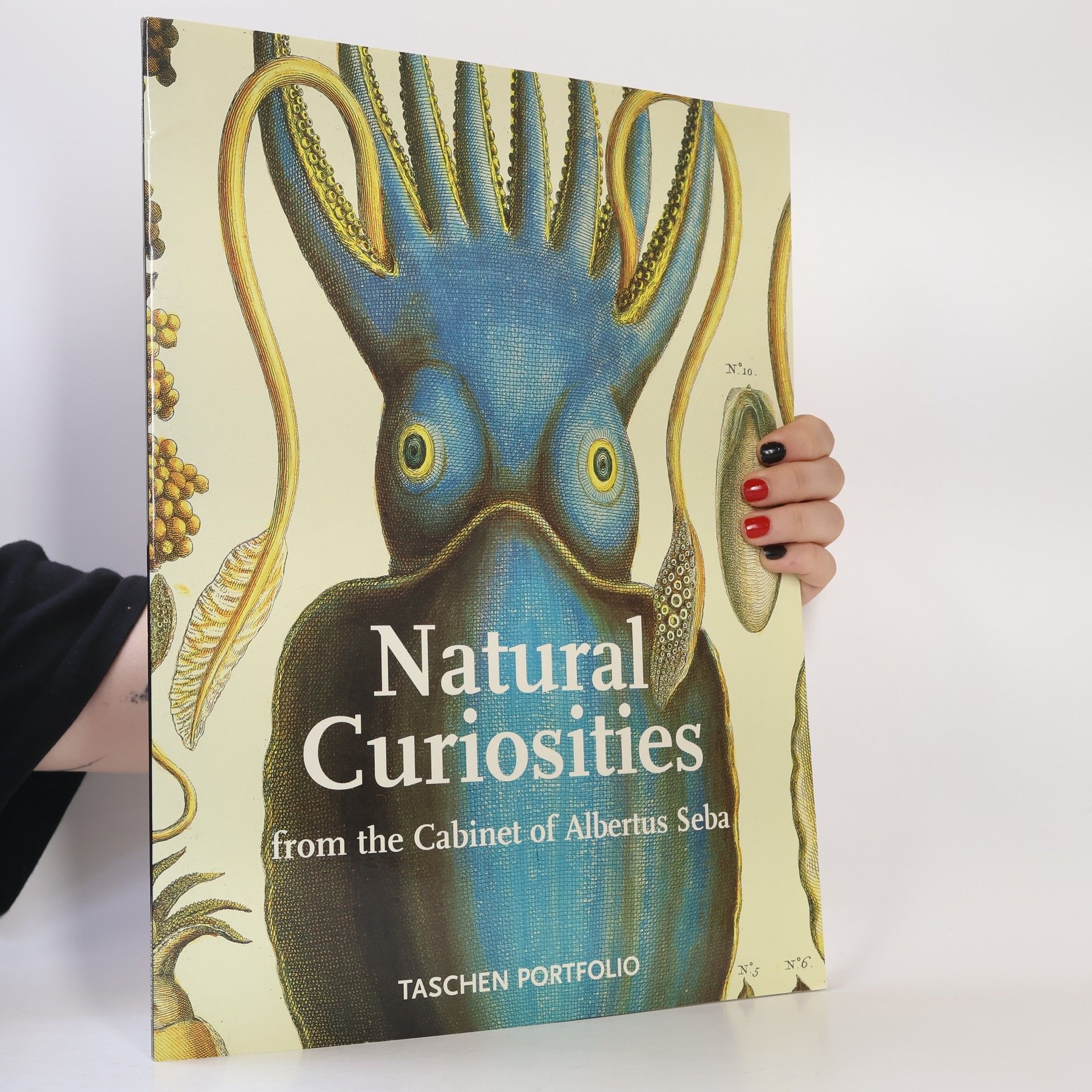 Albertus Seba Natural Curiosities From The Cabinet Of Albertus Seba