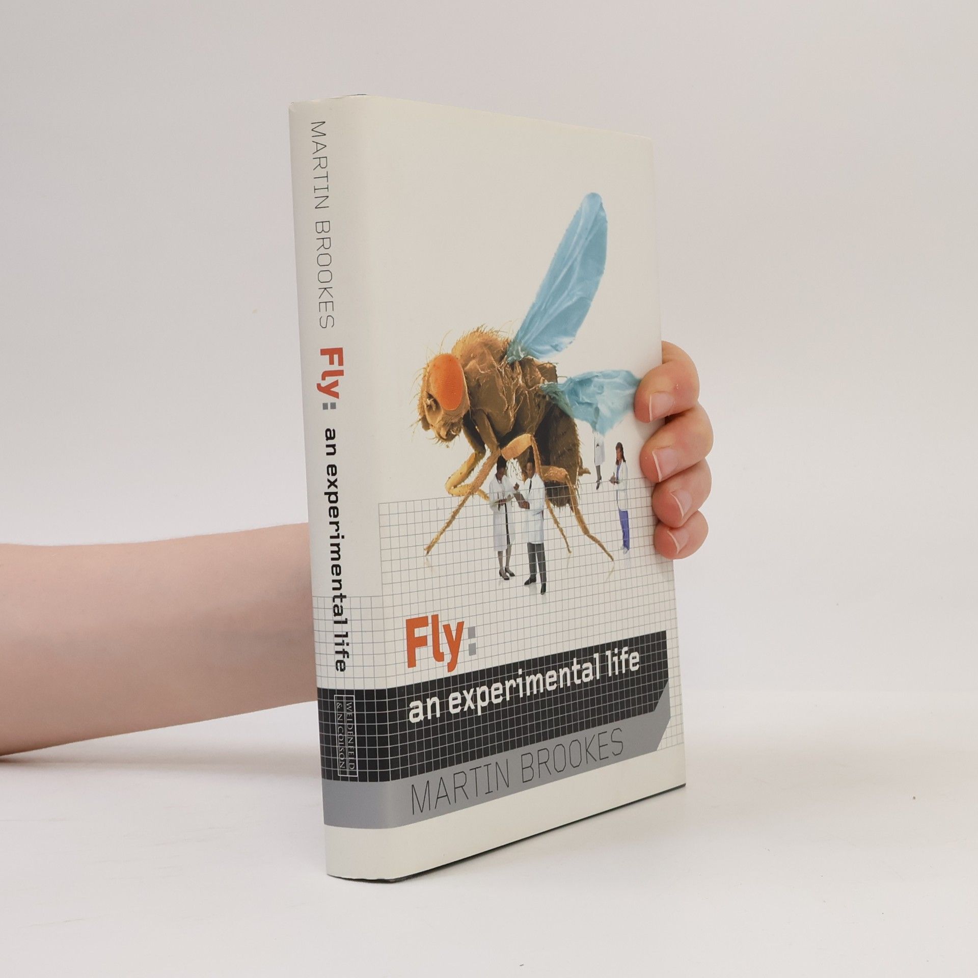 Martin Brookes Fly