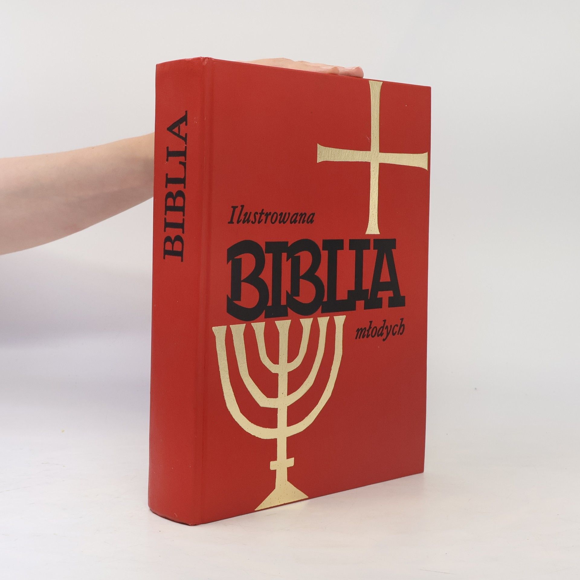 Kolektív autorov Ilustrowana biblia młodych
