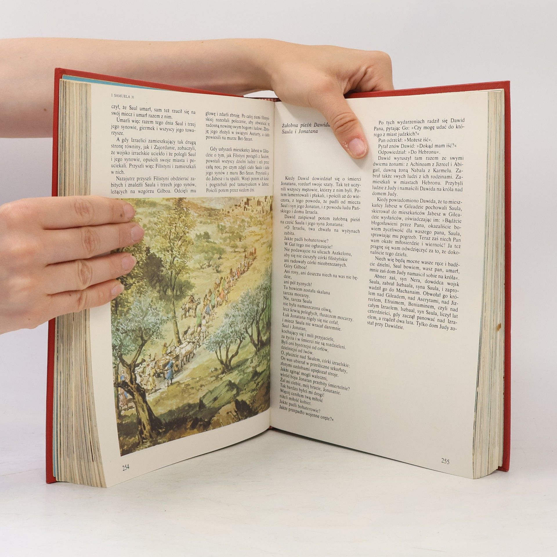 Kolektív autorov Ilustrowana biblia młodych