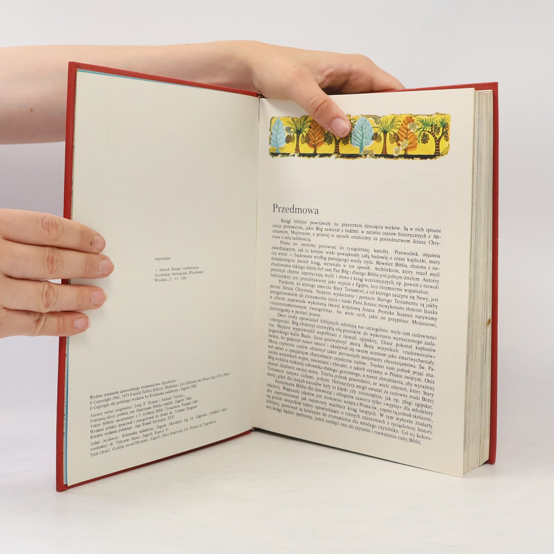 Kolektív autorov Ilustrowana biblia młodych