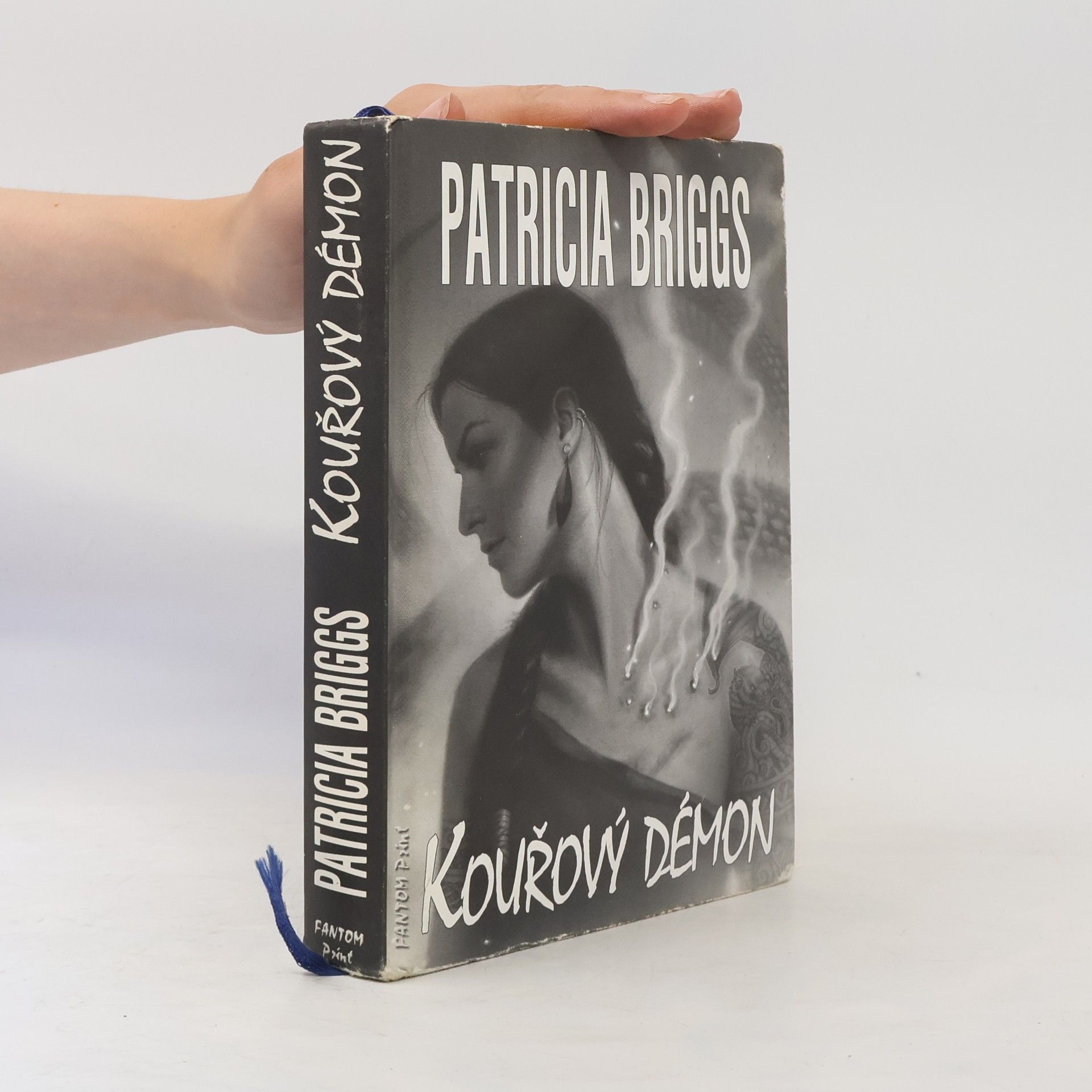 Patricia Briggs Kouřový démon