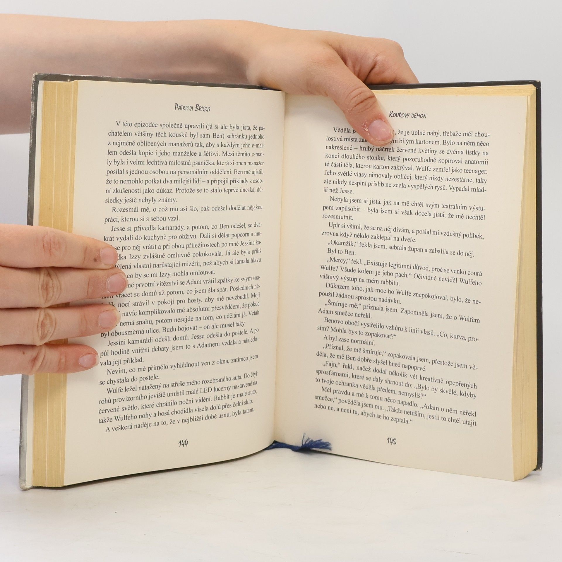 Patricia Briggs Kouřový démon