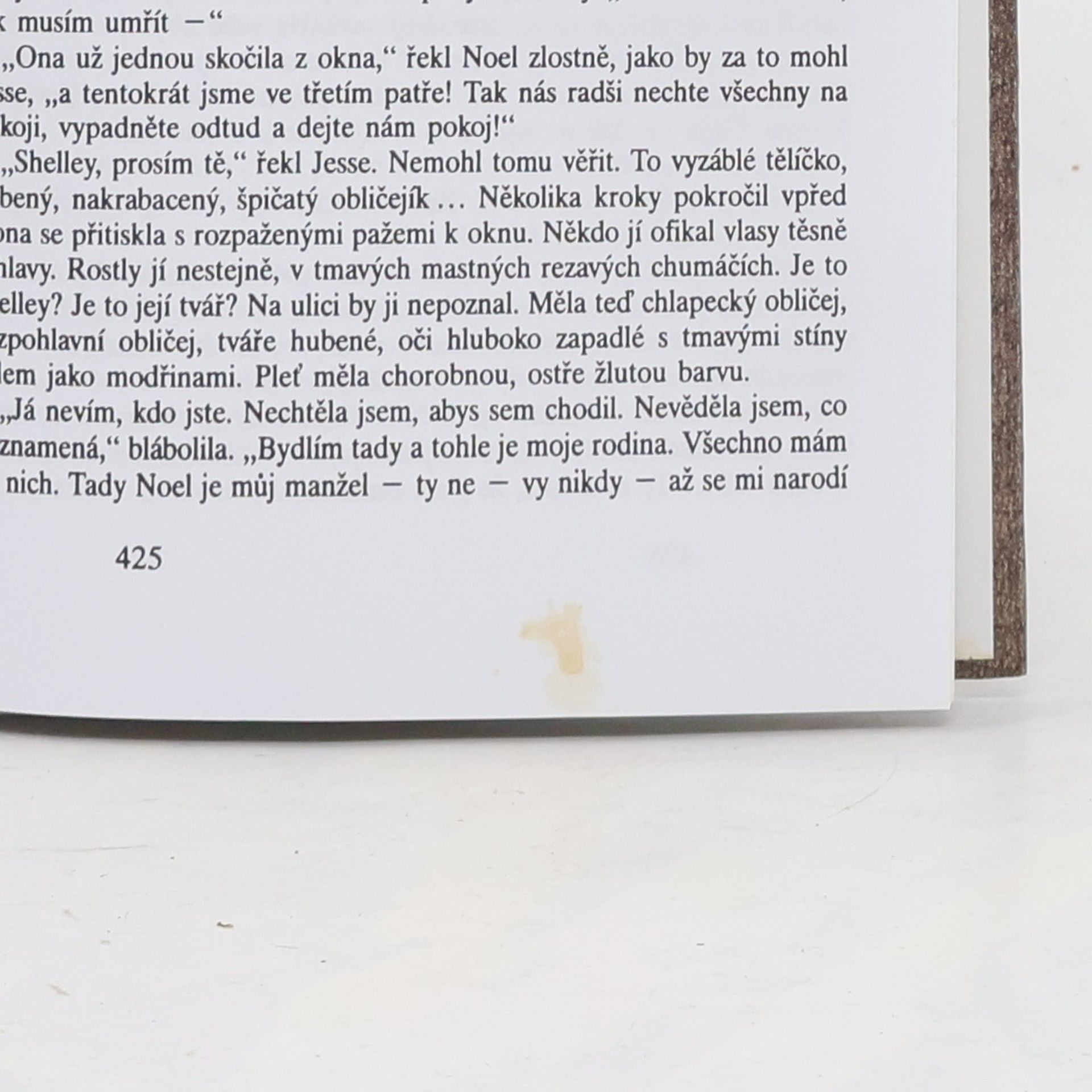 Joyce Carol Oates Země divů
