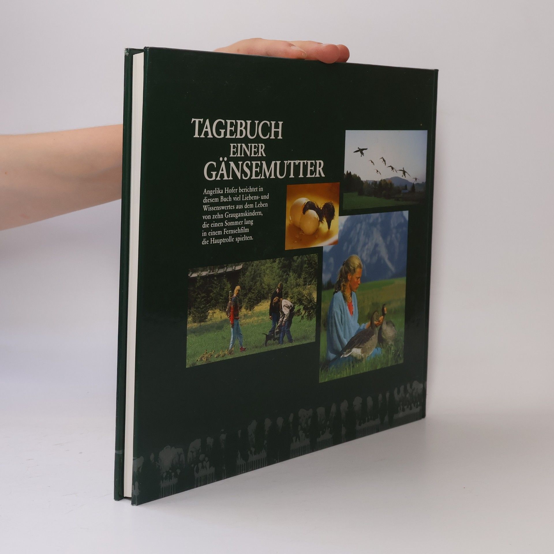 Angelika Höfer Tagebuch einer Gänsemutter