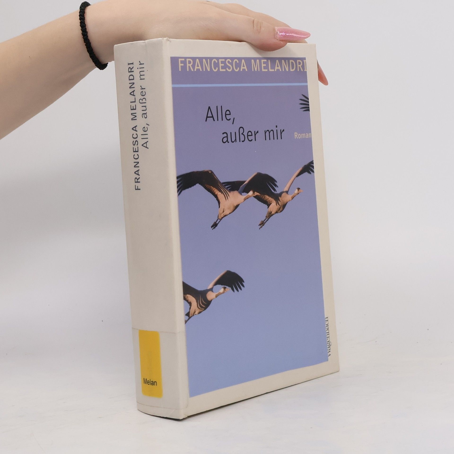 Francesca Melandri Alle, außer mir
