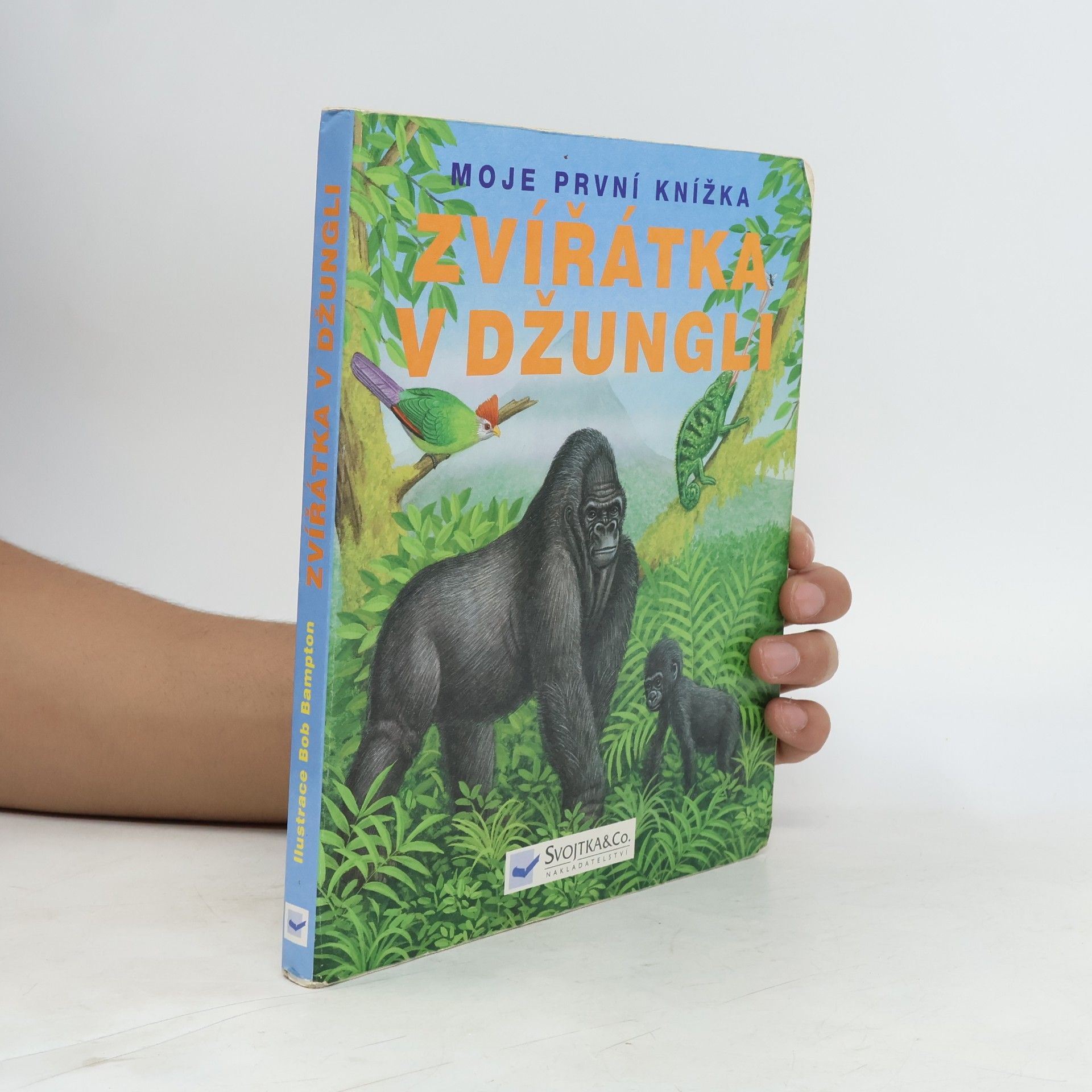 Kolektiv autorů Zvířátka v džungli