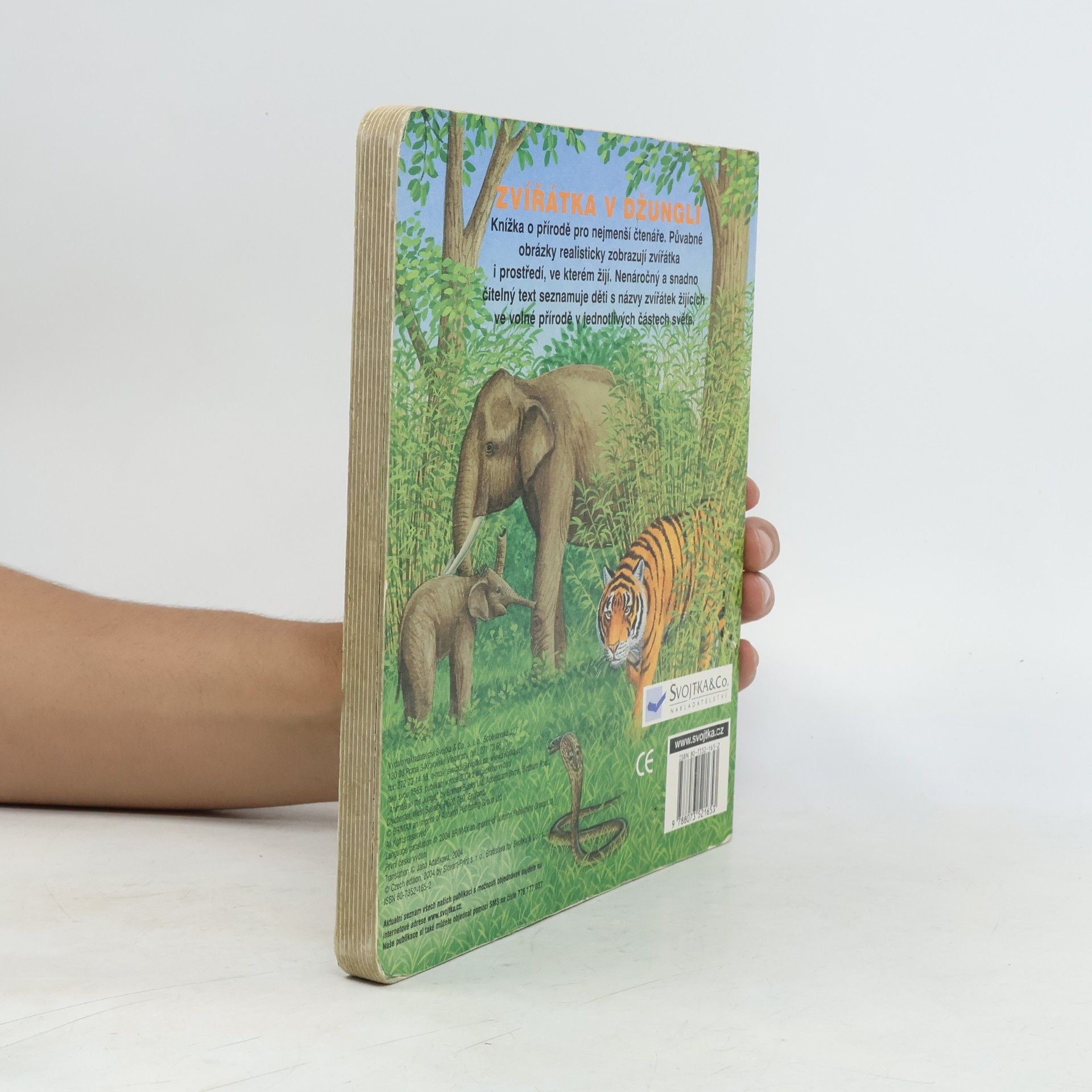 Autores varios Zvířátka v džungli