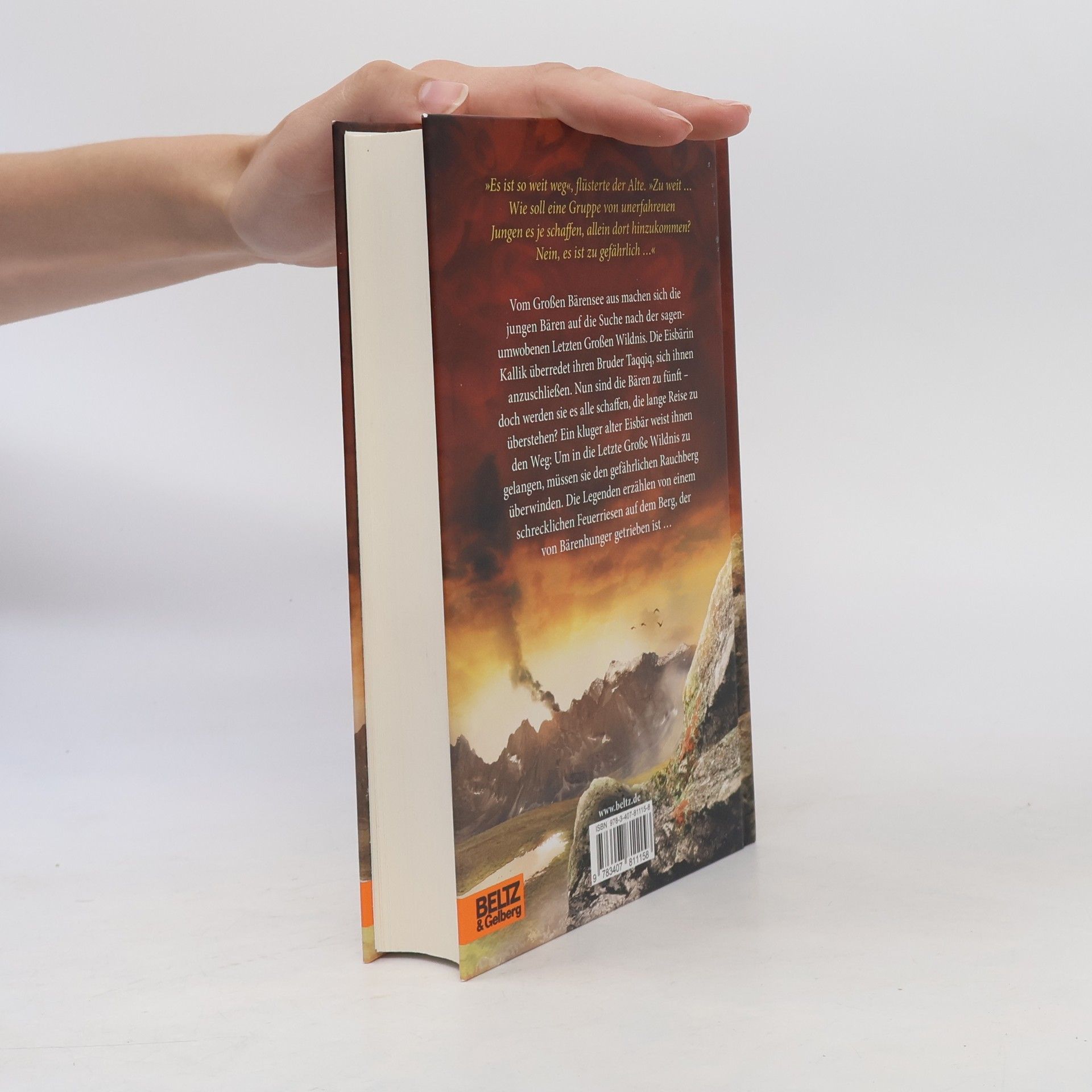 Erin Hunter Seekers. Auf dem Rauchberg