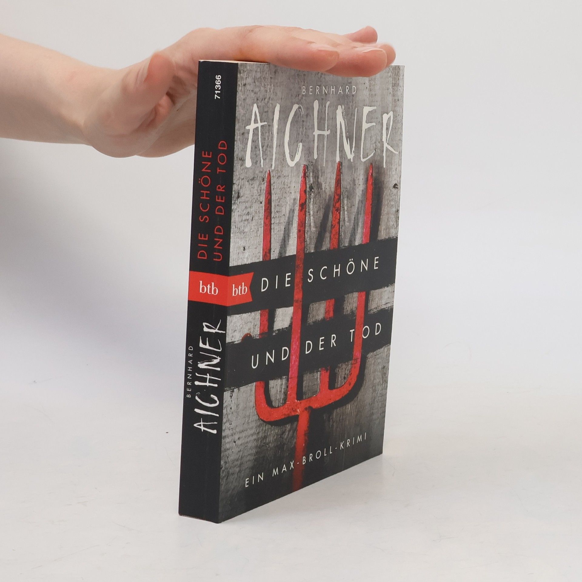 Bernhard Aichner Die Schöne und der Tod
