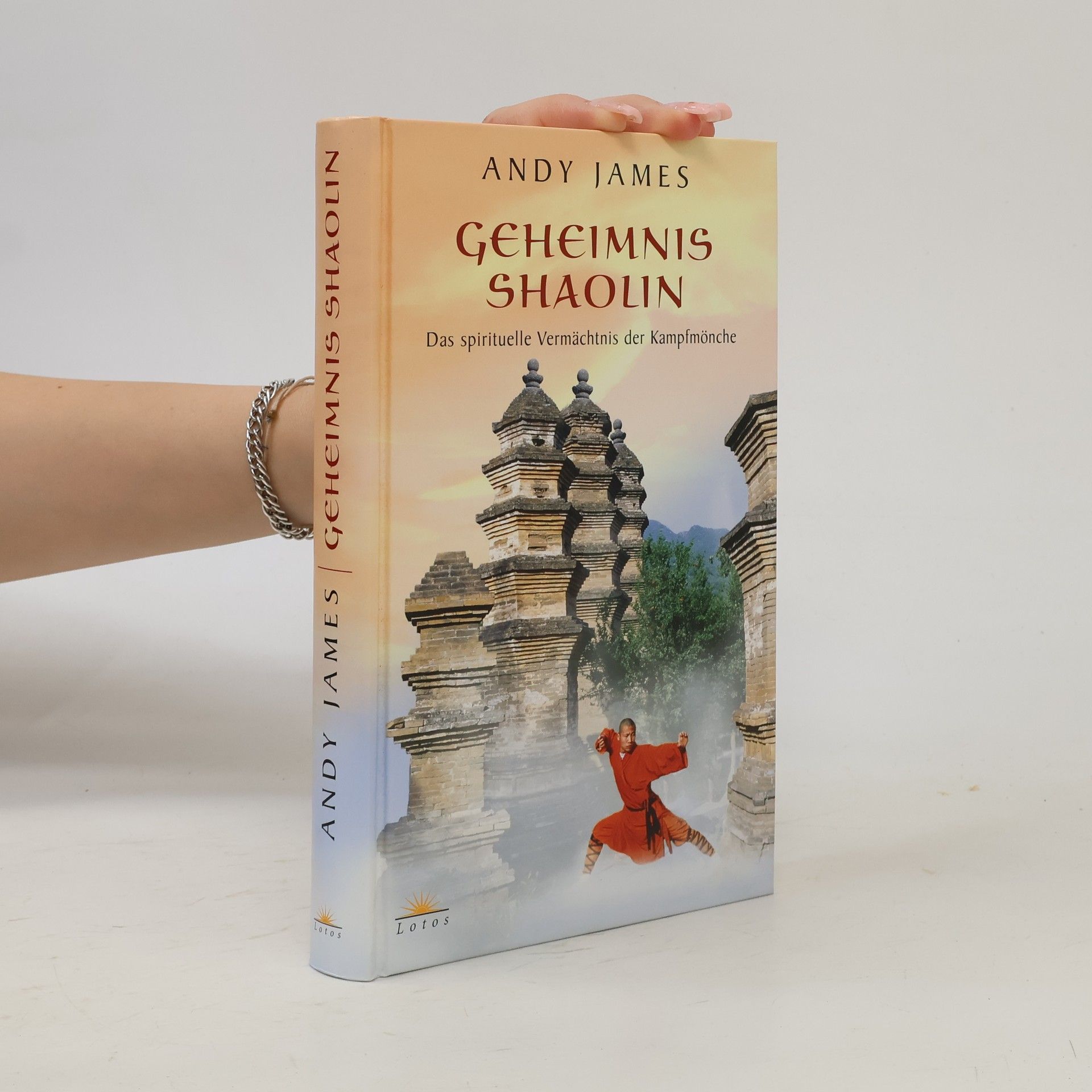 Andy James Geheimnis Shaolin