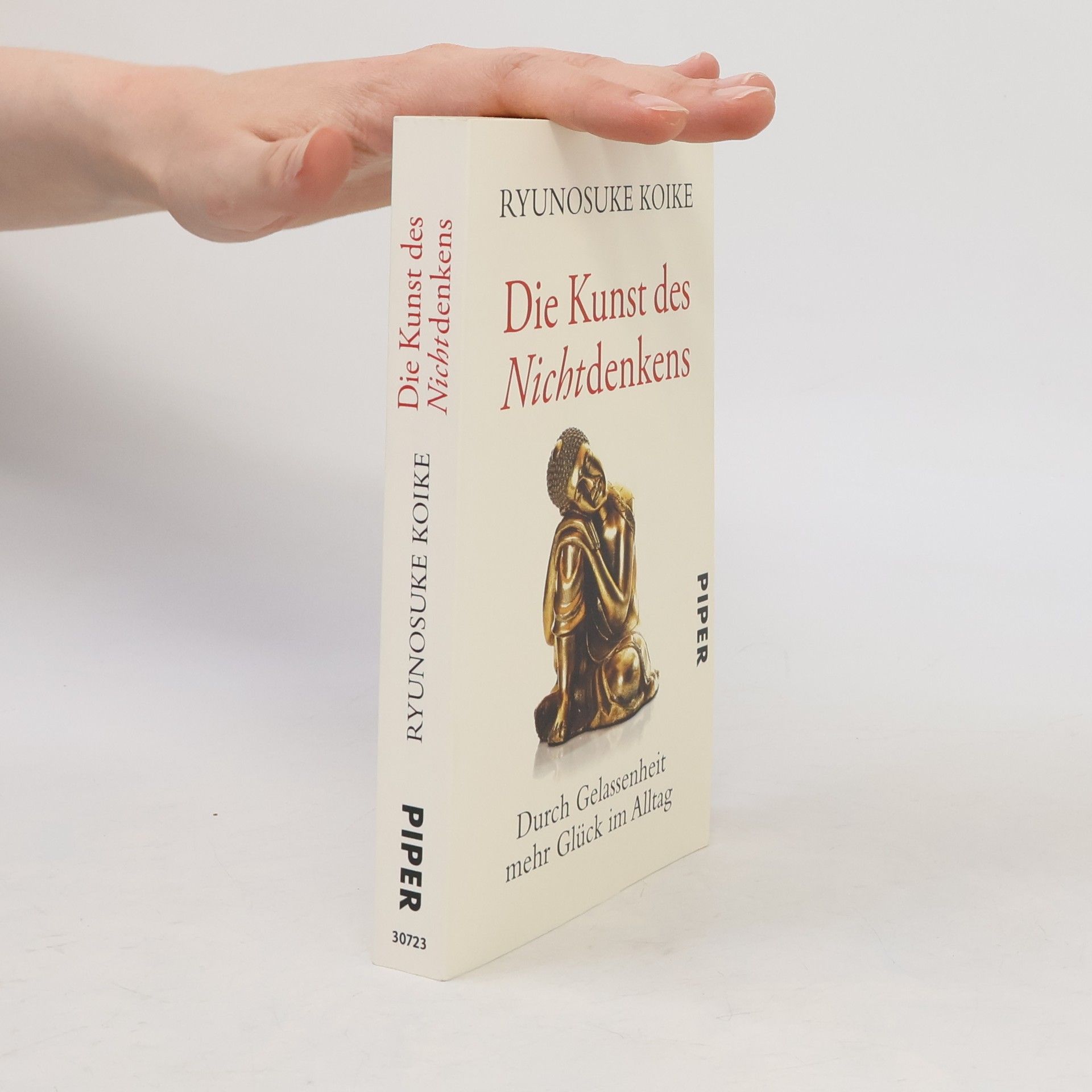 Ryūnosuke Koike Die Kunst des Nichtdenkens